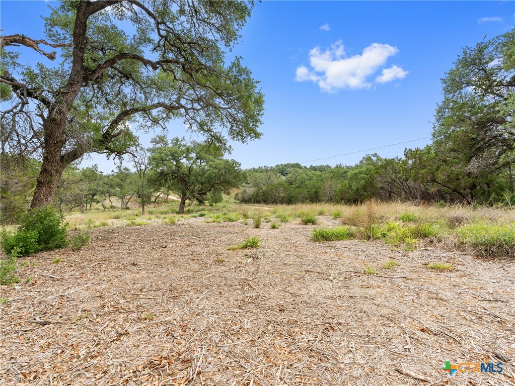 504 Oak Grove Road, San Marcos, TX, 78666 | 594545 | Realty Texas LLC