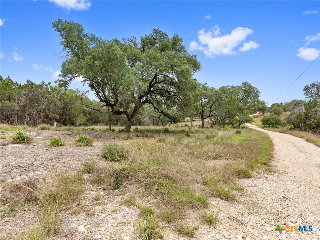 504 Oak Grove Road, San Marcos, TX, 78666 | 594545 | Realty Texas LLC