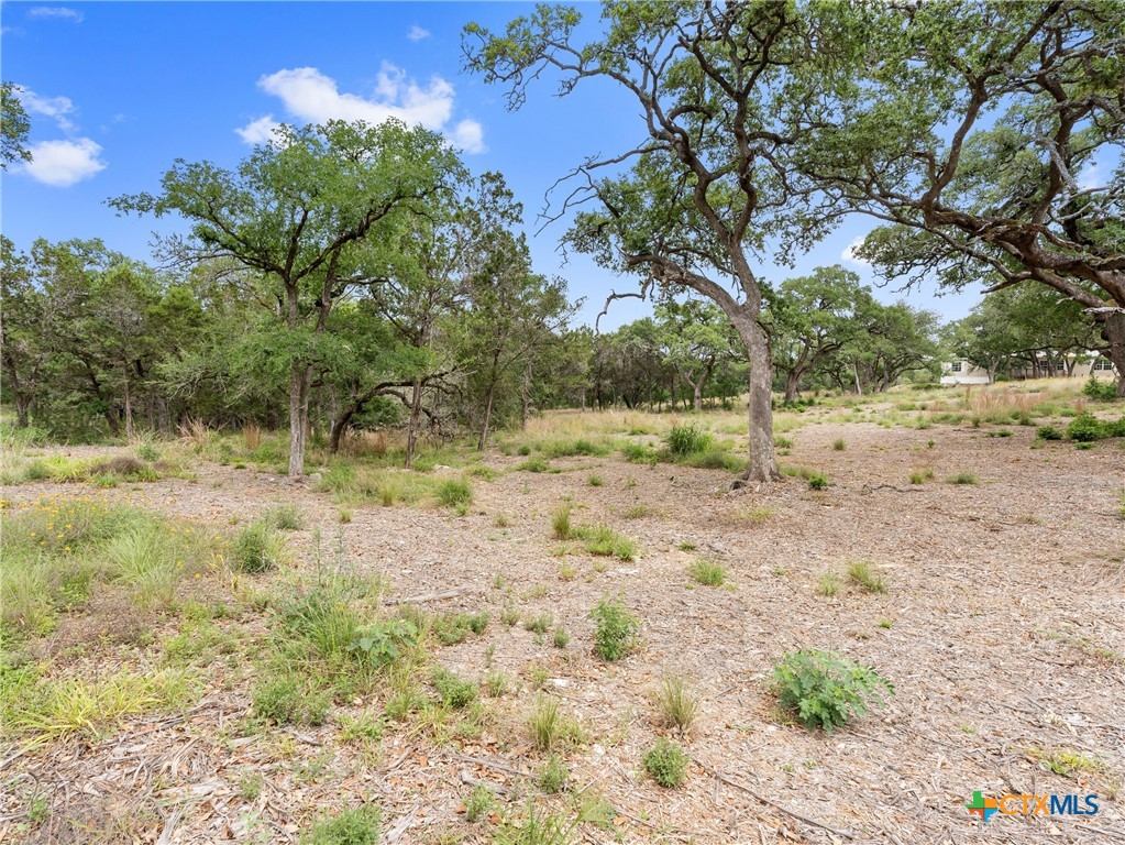 504 Oak Grove Road, San Marcos, TX, 78666 | 594545 | Realty Texas LLC