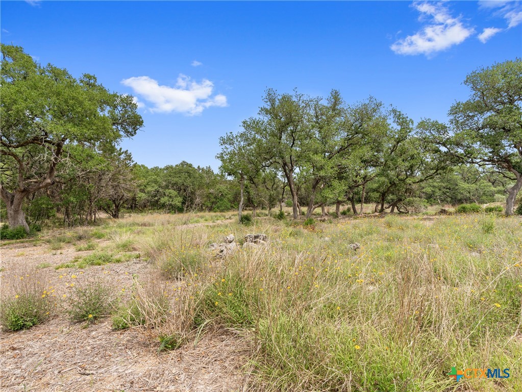 504 Oak Grove Road, San Marcos, TX, 78666 | 594545 | Realty Texas LLC