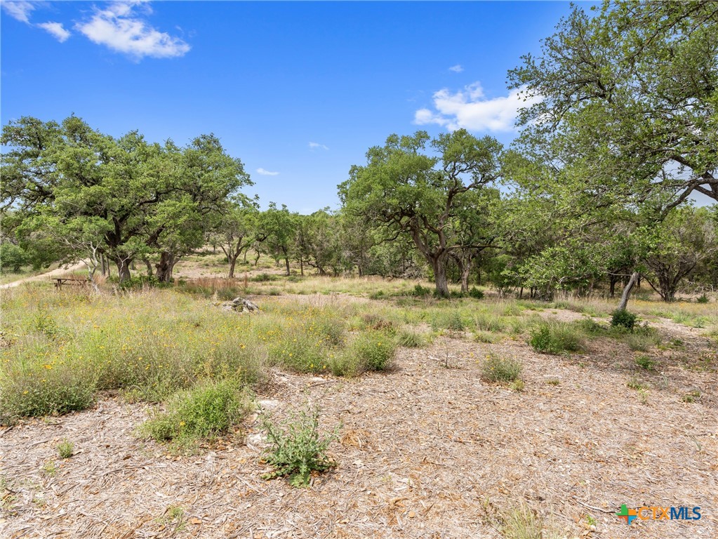 504 Oak Grove Road, San Marcos, TX, 78666 | 594545 | Realty Texas LLC