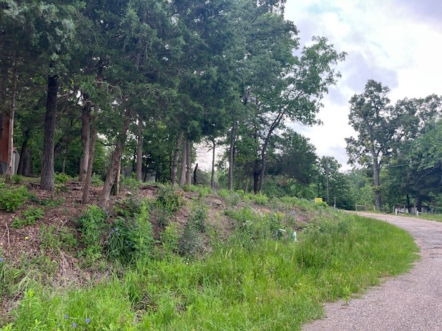 TBD E Walnut Trail, Murchison, TX, 75778 | 21108184 | Realty Texas LLC