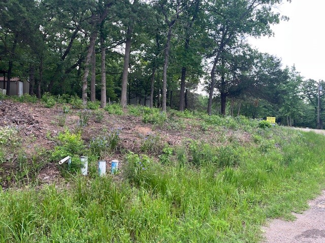 TBD E Walnut Trail, Murchison, TX, 75778 | 21108184 | Realty Texas LLC