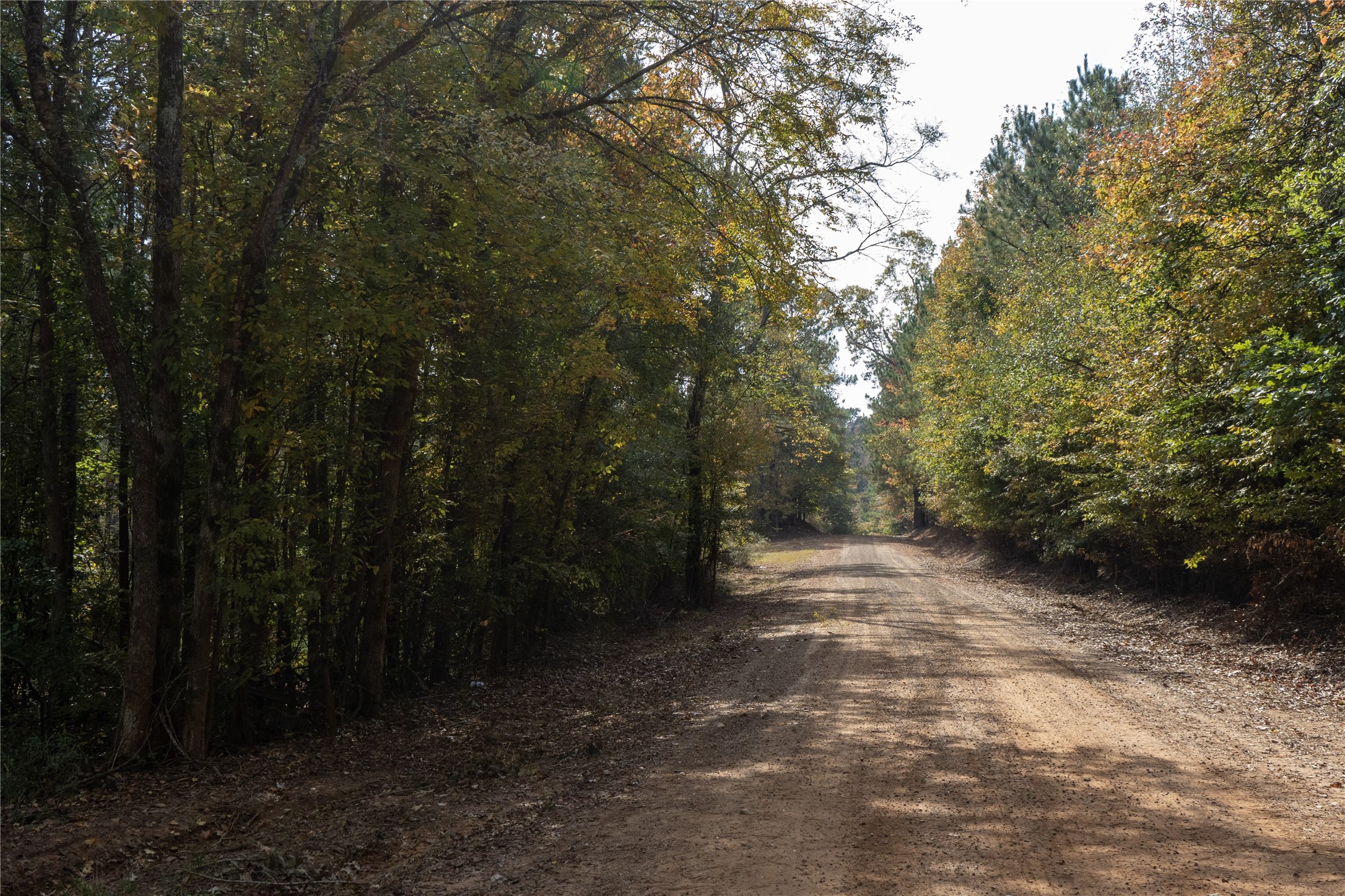 0 Harper Bottom Road, Ruston, LA, 71270 | 21108398 | Realty Texas LLC