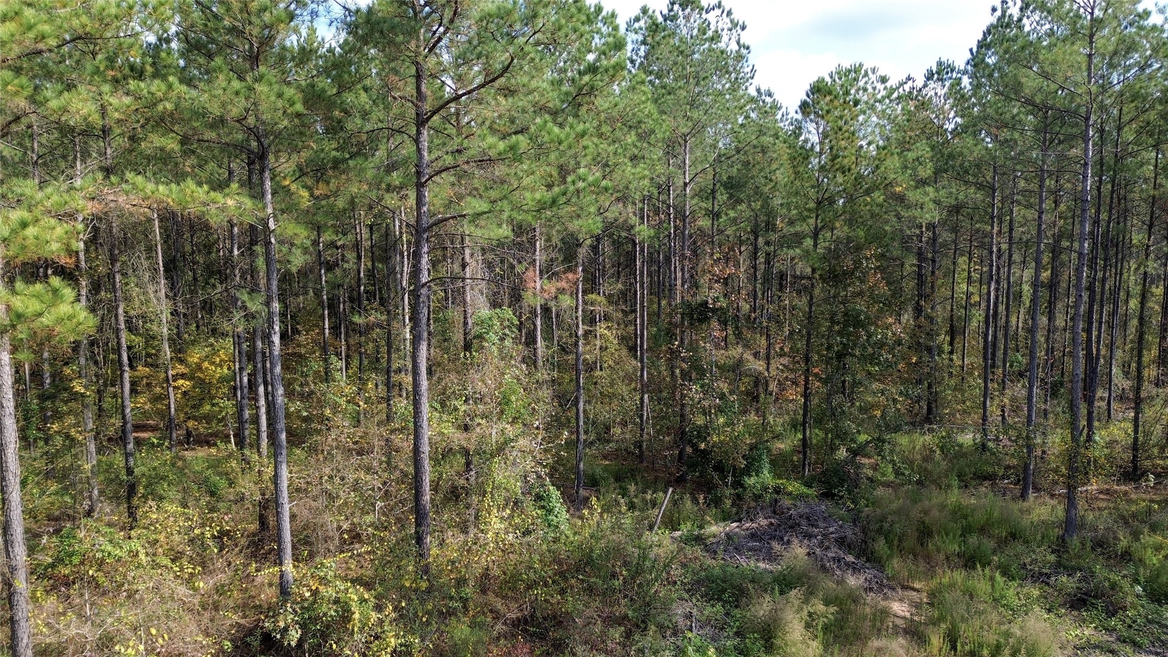 0 Harper Bottom Road, Ruston, LA, 71270 | 21108398 | Realty Texas LLC