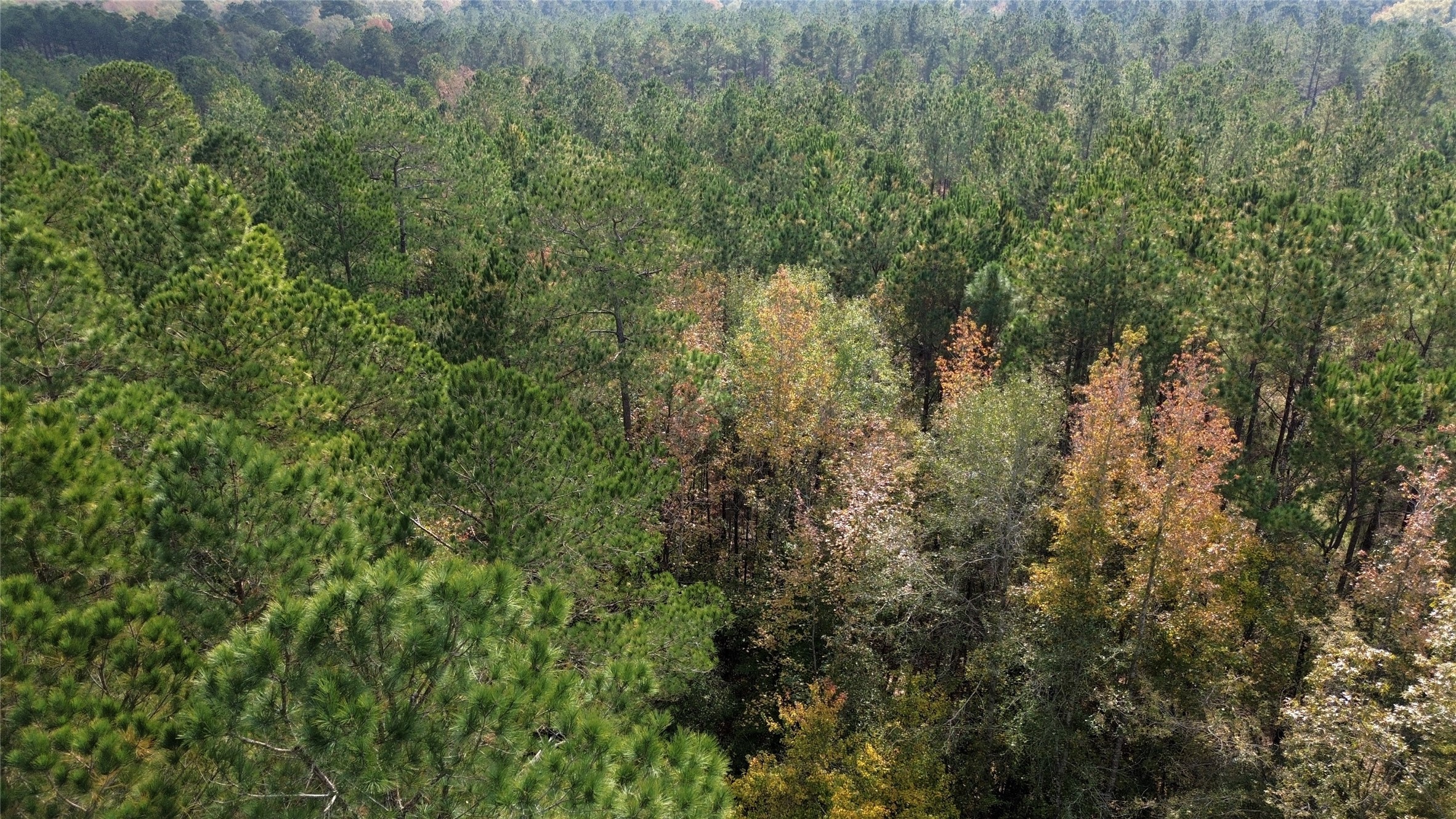 0 Harper Bottom Road, Ruston, LA, 71270 | 21108398 | Realty Texas LLC