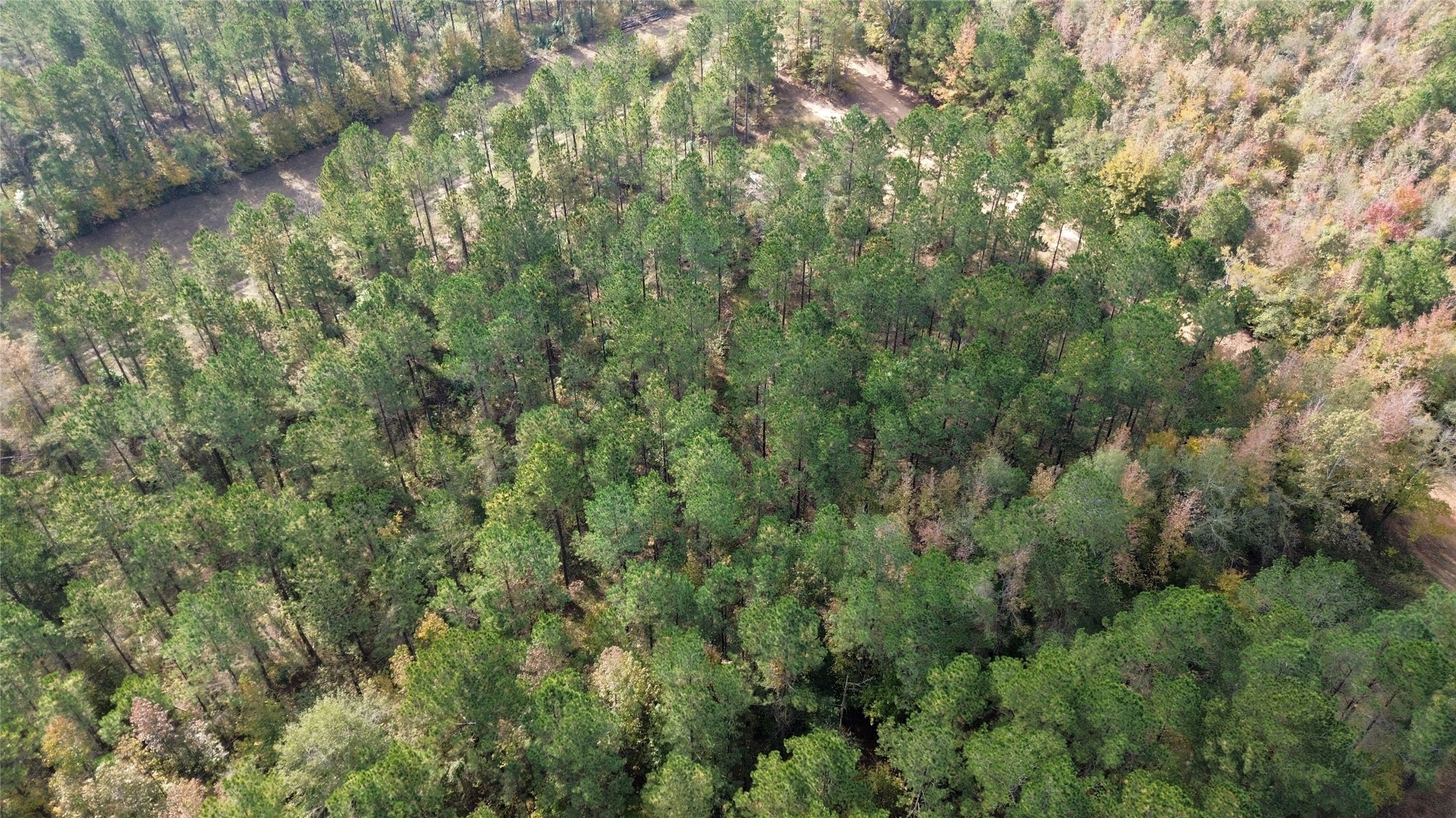 0 Harper Bottom Road, Ruston, LA, 71270 | 21108398 | Realty Texas LLC