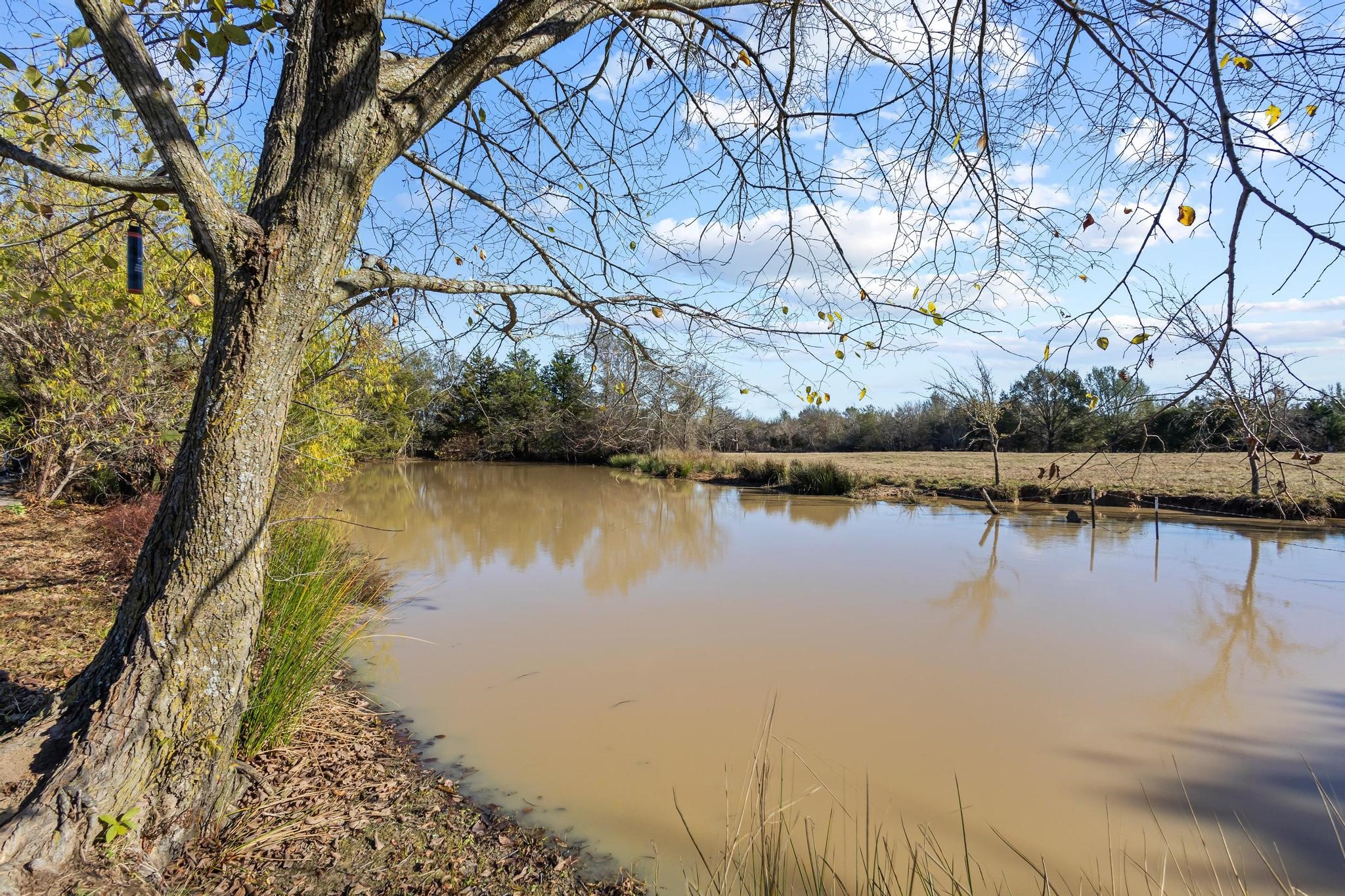 2321 County Rd 2100, Ivanhoe, TX, 75447 | 21121610 | Realty Texas LLC