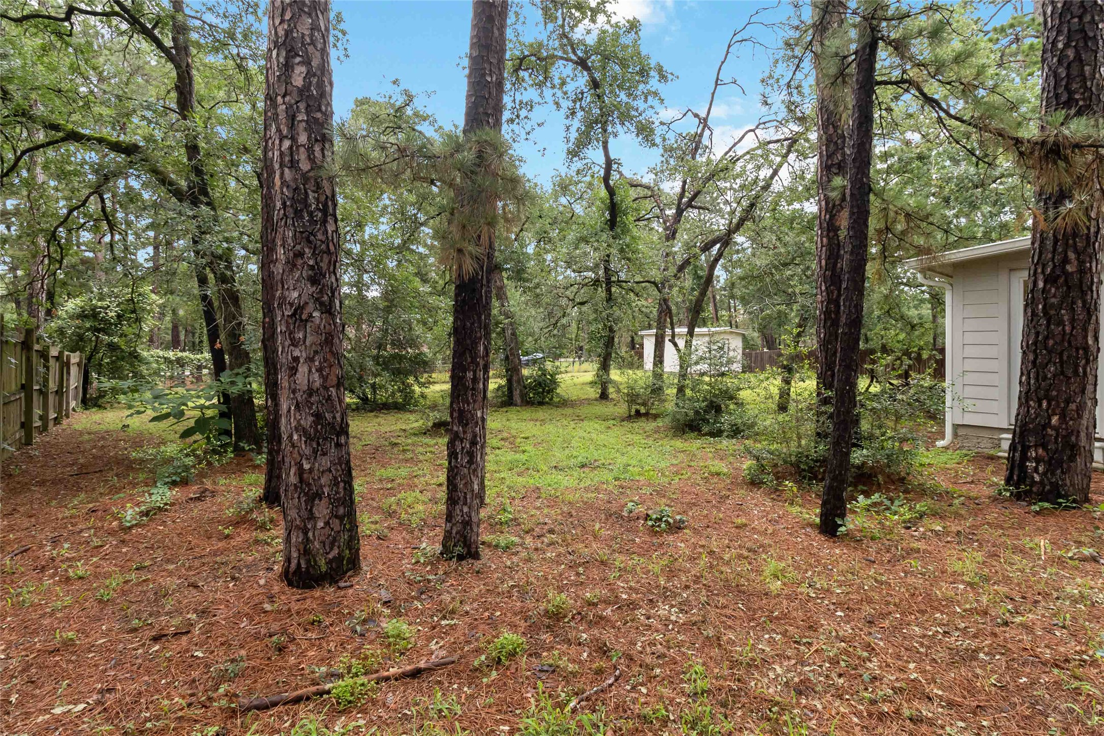 326 Pine View LOOP, Bastrop, TX, 78602 | 3414913 | Realty Texas LLC