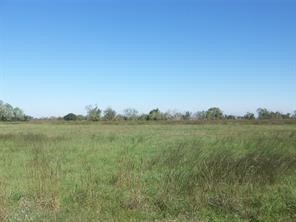 1703 Apache, Angleton, TX, 77515 | 7155178 | Realty Texas LLC