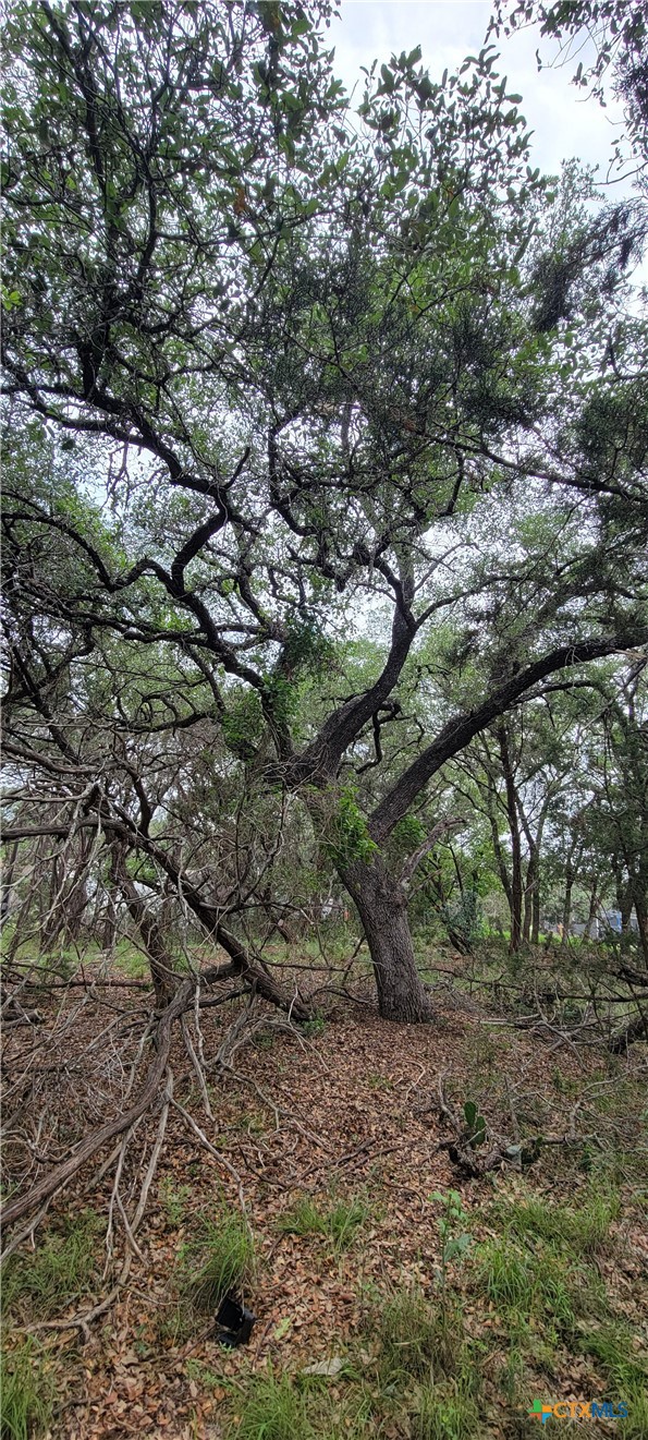 1391 Covered Wagon, Spring Branch, TX, 78070 | 600940 | Realty Texas LLC