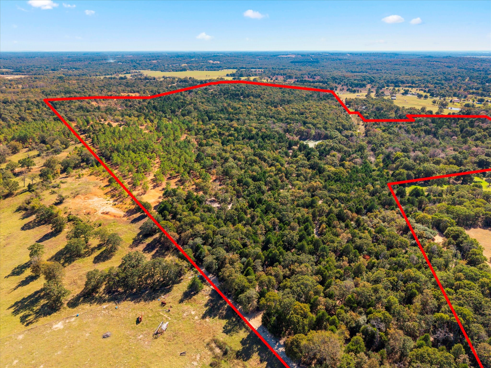 0 VZCR 1256, Eustace, TX, 75124 | 21148434 | Realty Texas LLC