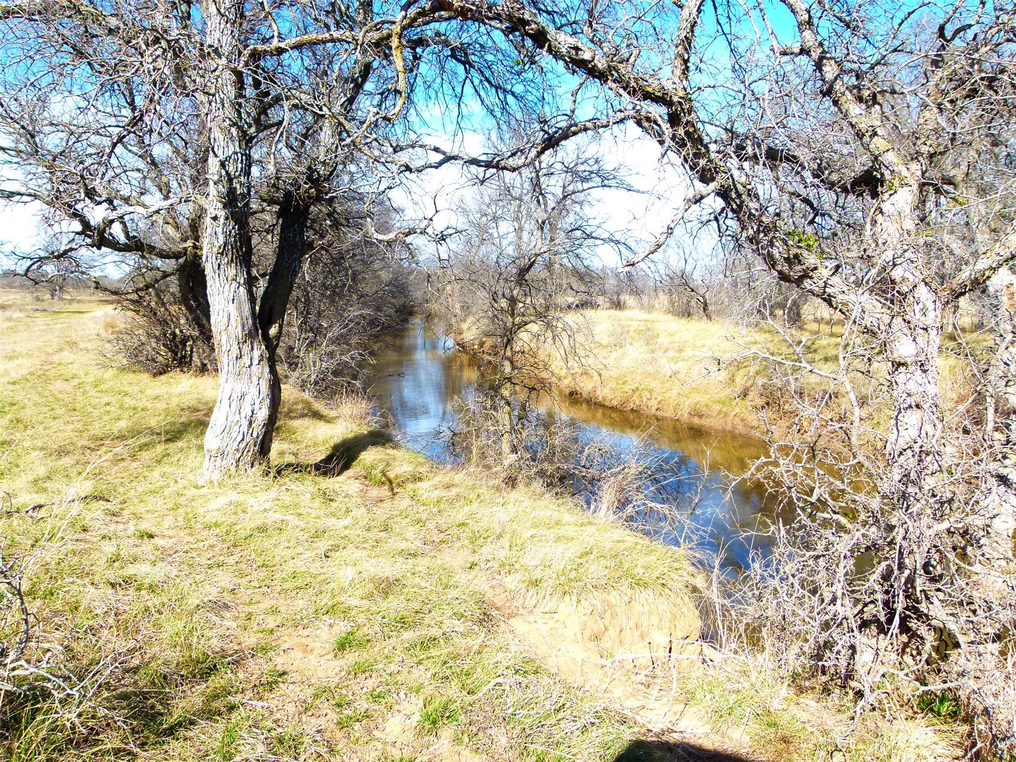 6500A FM 586, Bangs, TX, 76823 | 21152814 | Realty Texas LLC