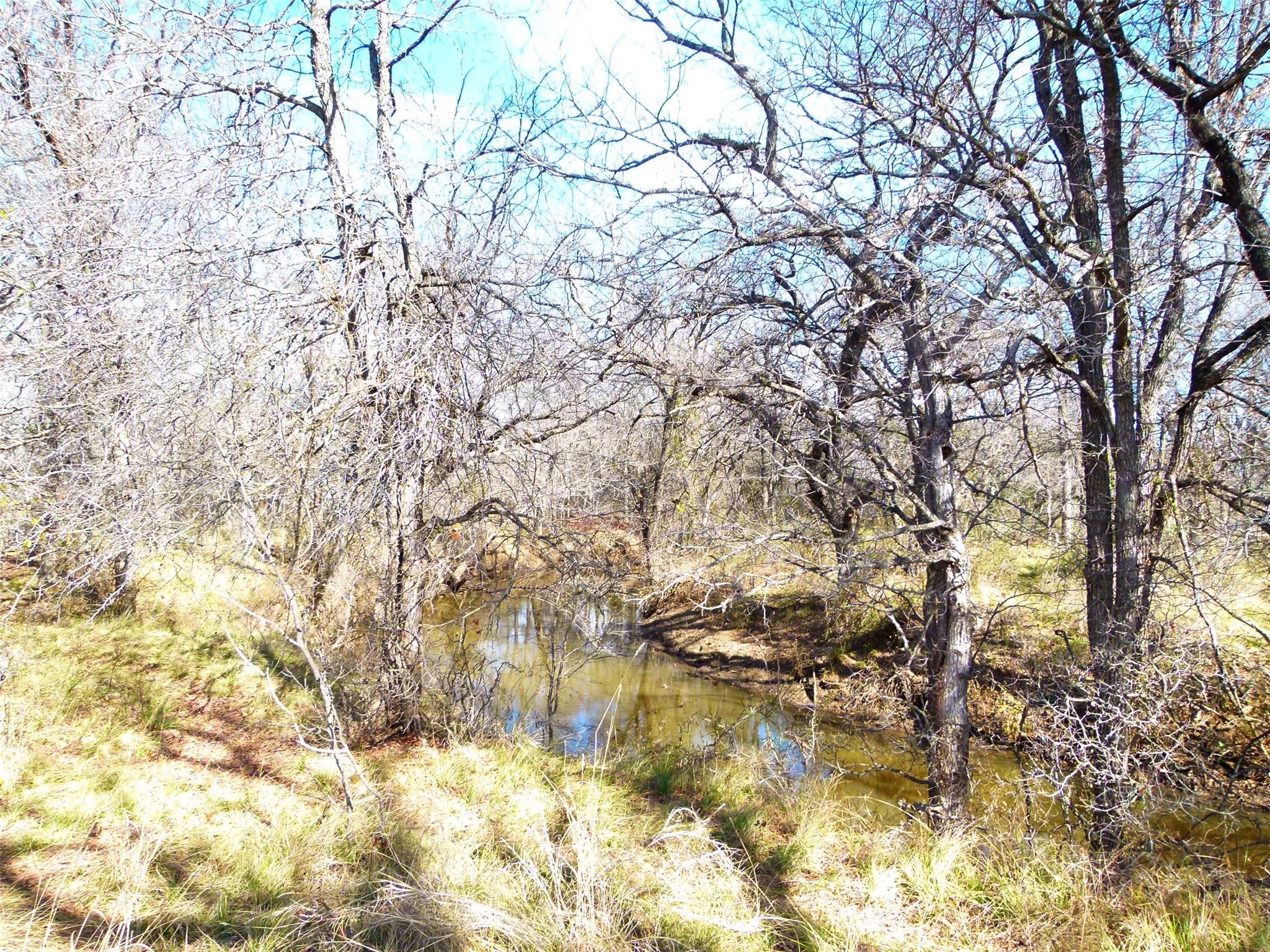 6500A FM 586, Bangs, TX, 76823 | 21152814 | Realty Texas LLC