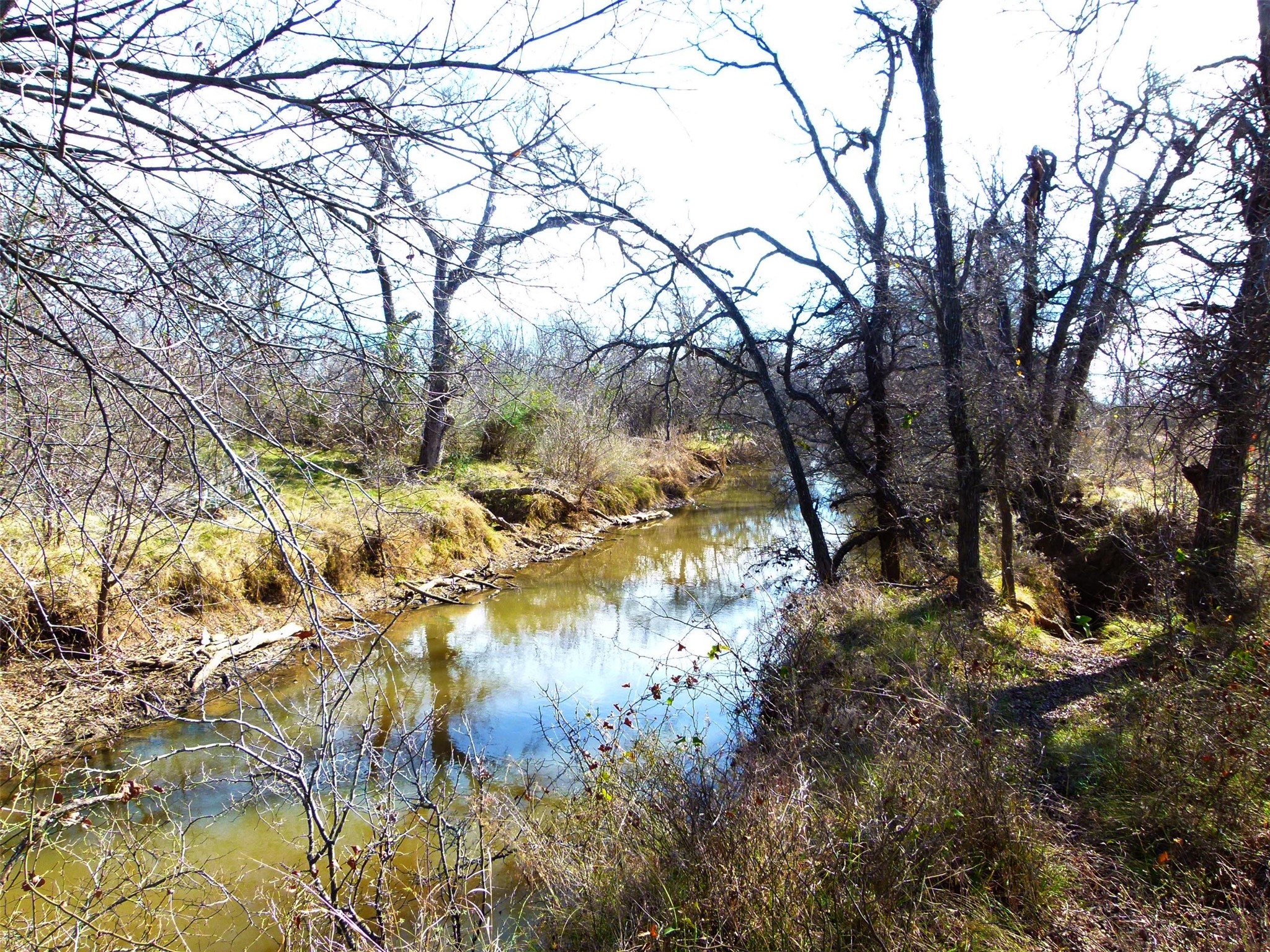 6500A FM 586, Bangs, TX, 76823 | 21152814 | Realty Texas LLC