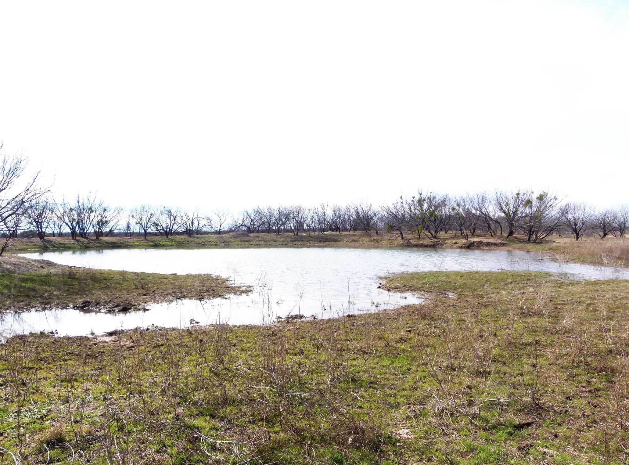 6500A FM 586, Bangs, TX, 76823 | 21152814 | Realty Texas LLC
