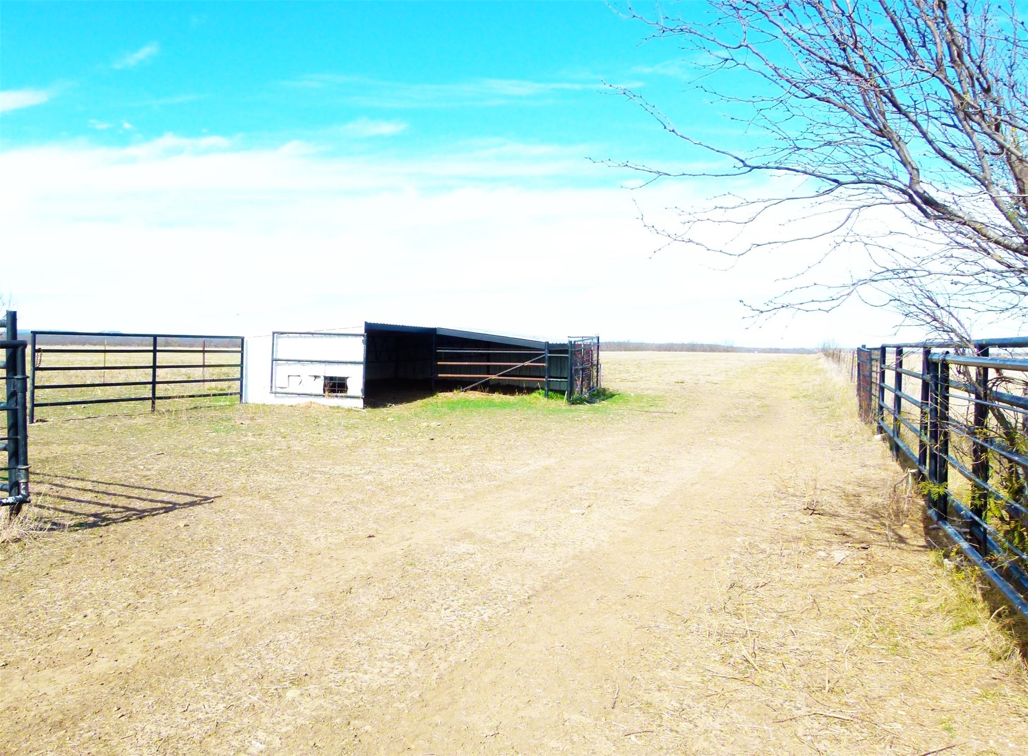 6500A FM 586, Bangs, TX, 76823 | 21152814 | Realty Texas LLC
