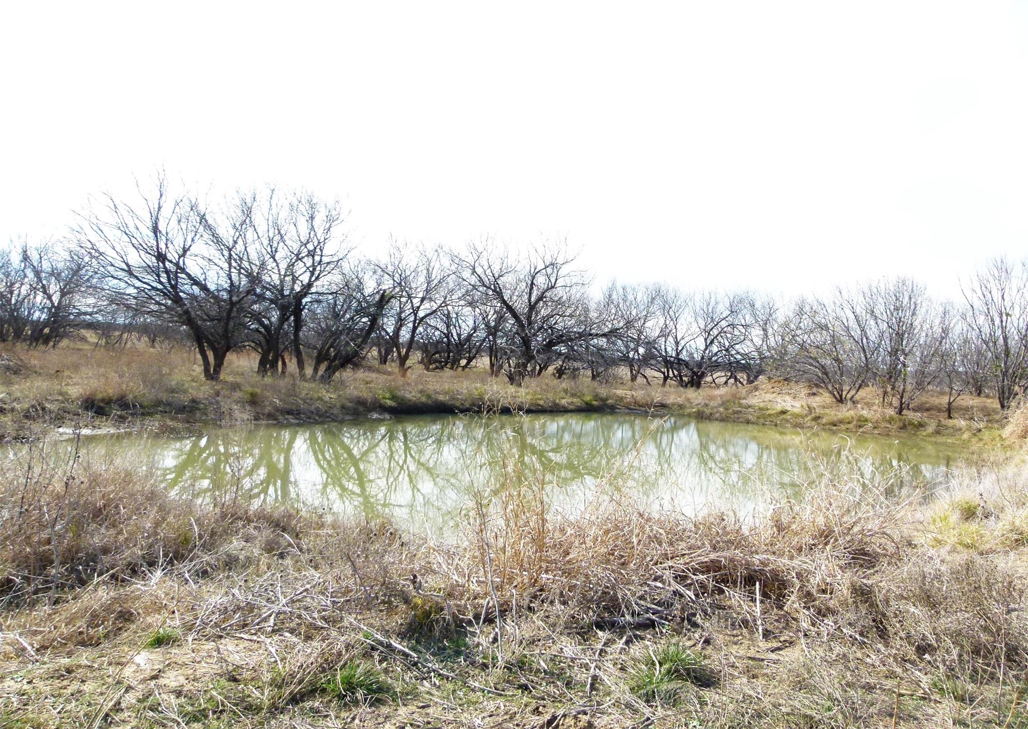 6500A FM 586, Bangs, TX, 76823 | 21152814 | Realty Texas LLC