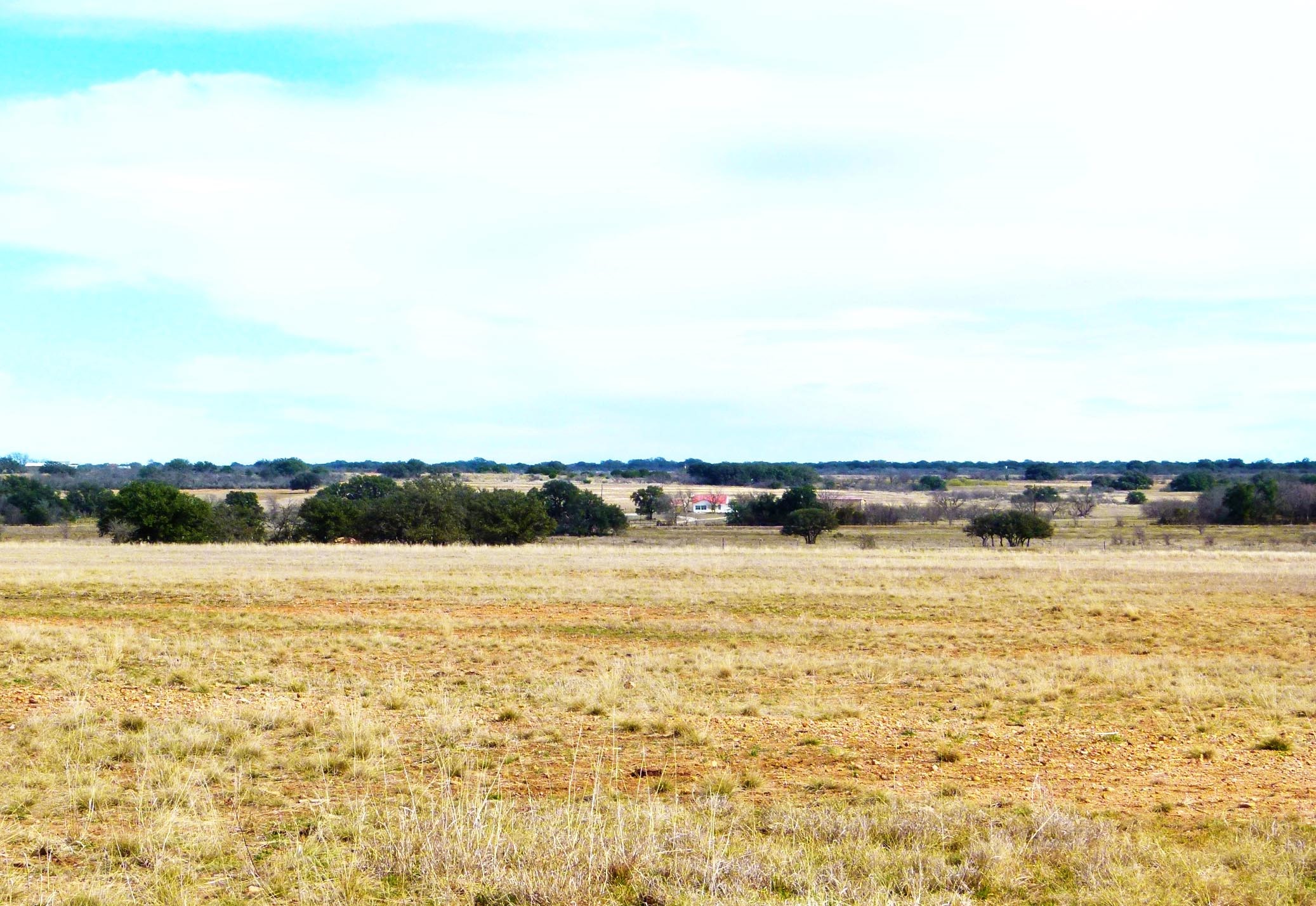 6500A FM 586, Bangs, TX, 76823 | 21152814 | Realty Texas LLC