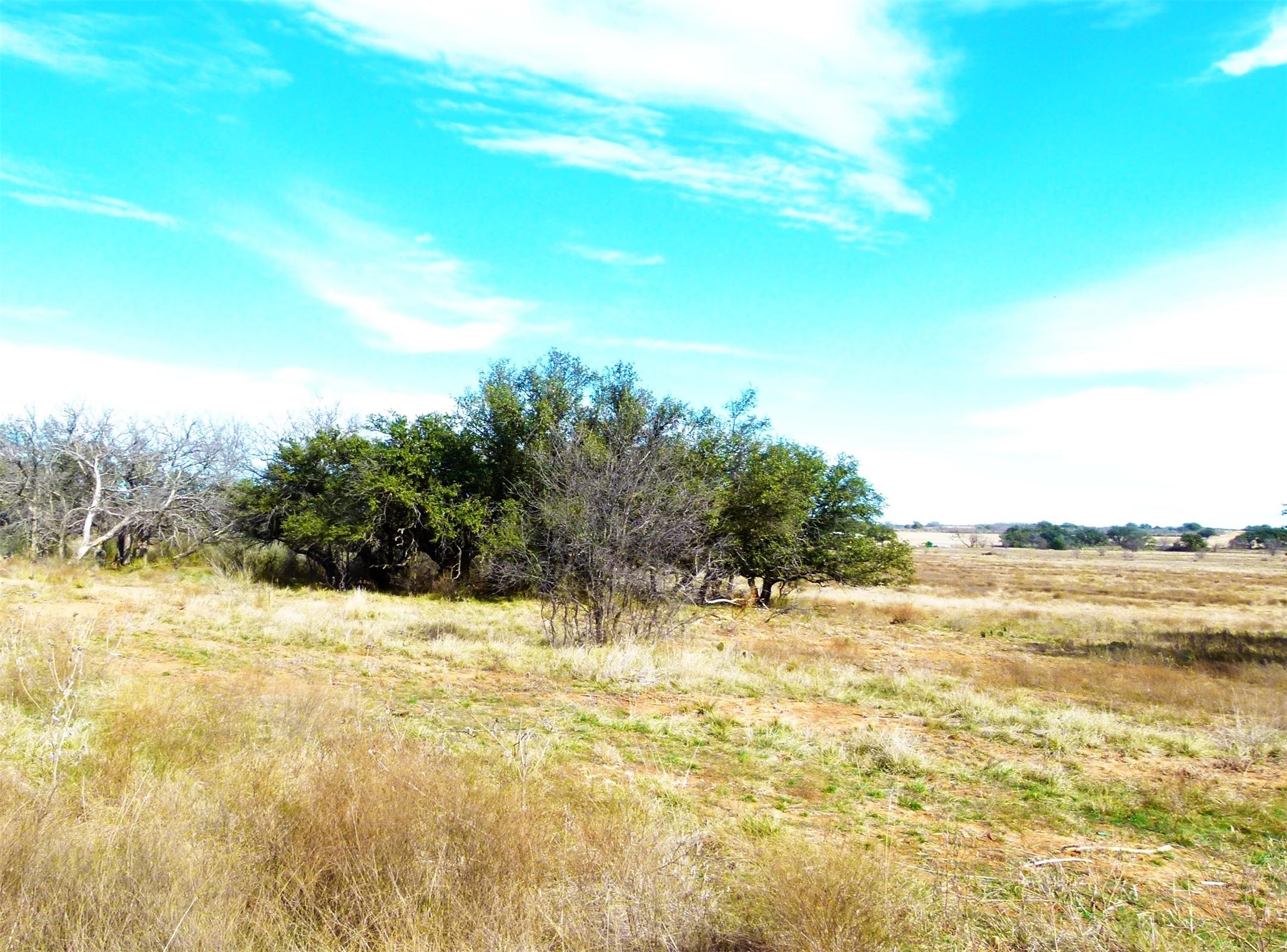 6500A FM 586, Bangs, TX, 76823 | 21152814 | Realty Texas LLC