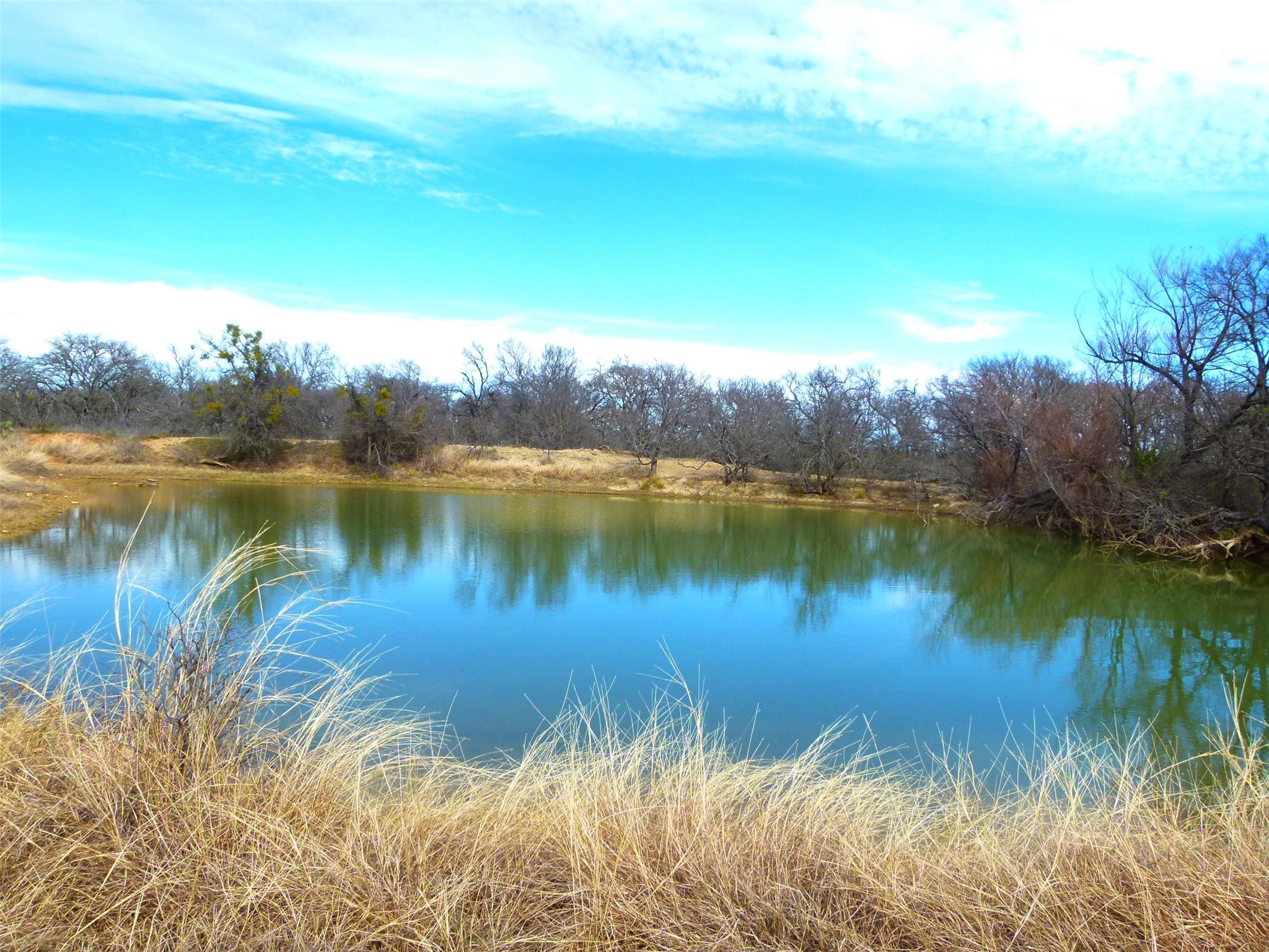 6500A FM 586, Bangs, TX, 76823 | 21152814 | Realty Texas LLC