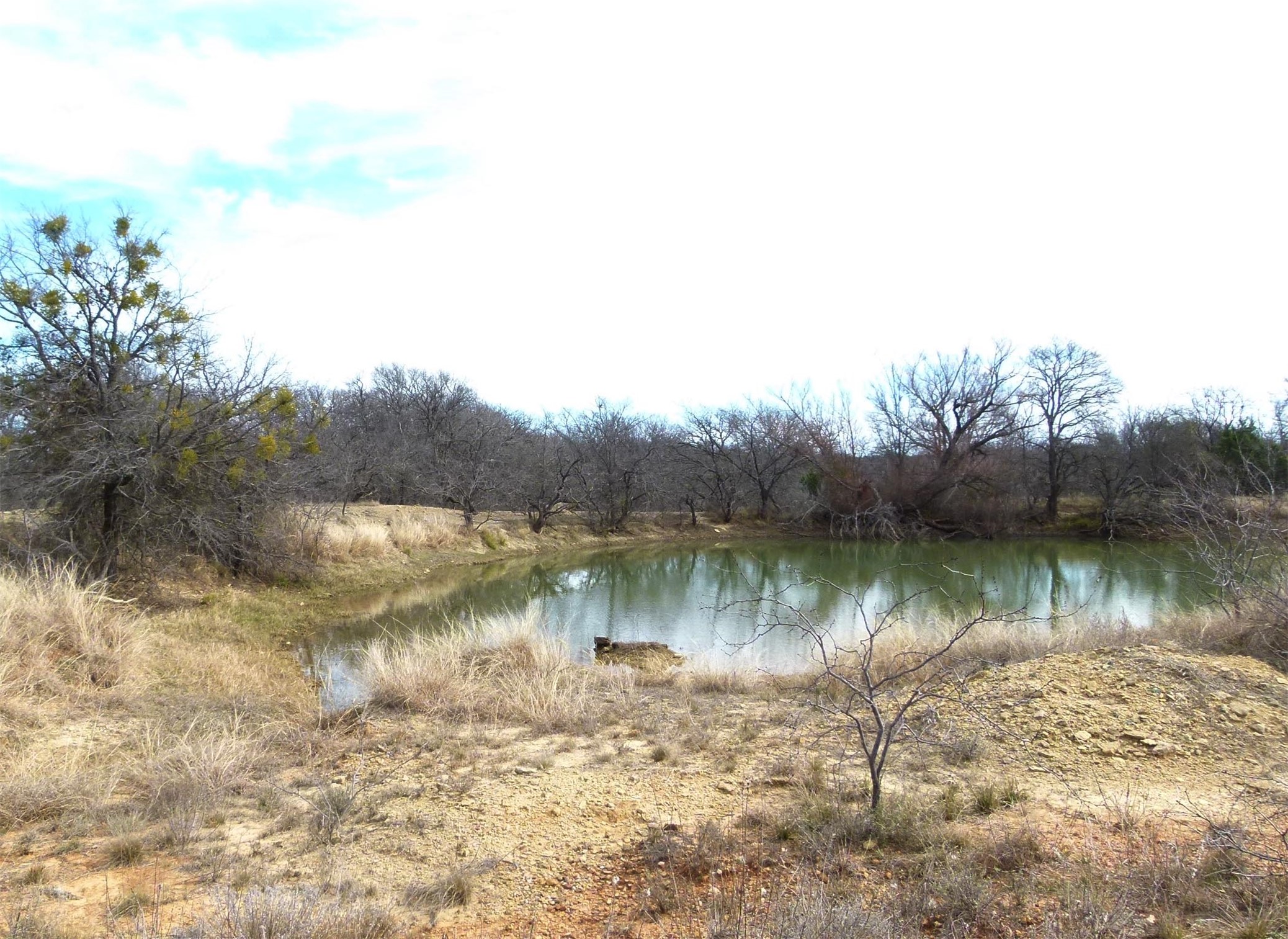 6500A FM 586, Bangs, TX, 76823 | 21152814 | Realty Texas LLC