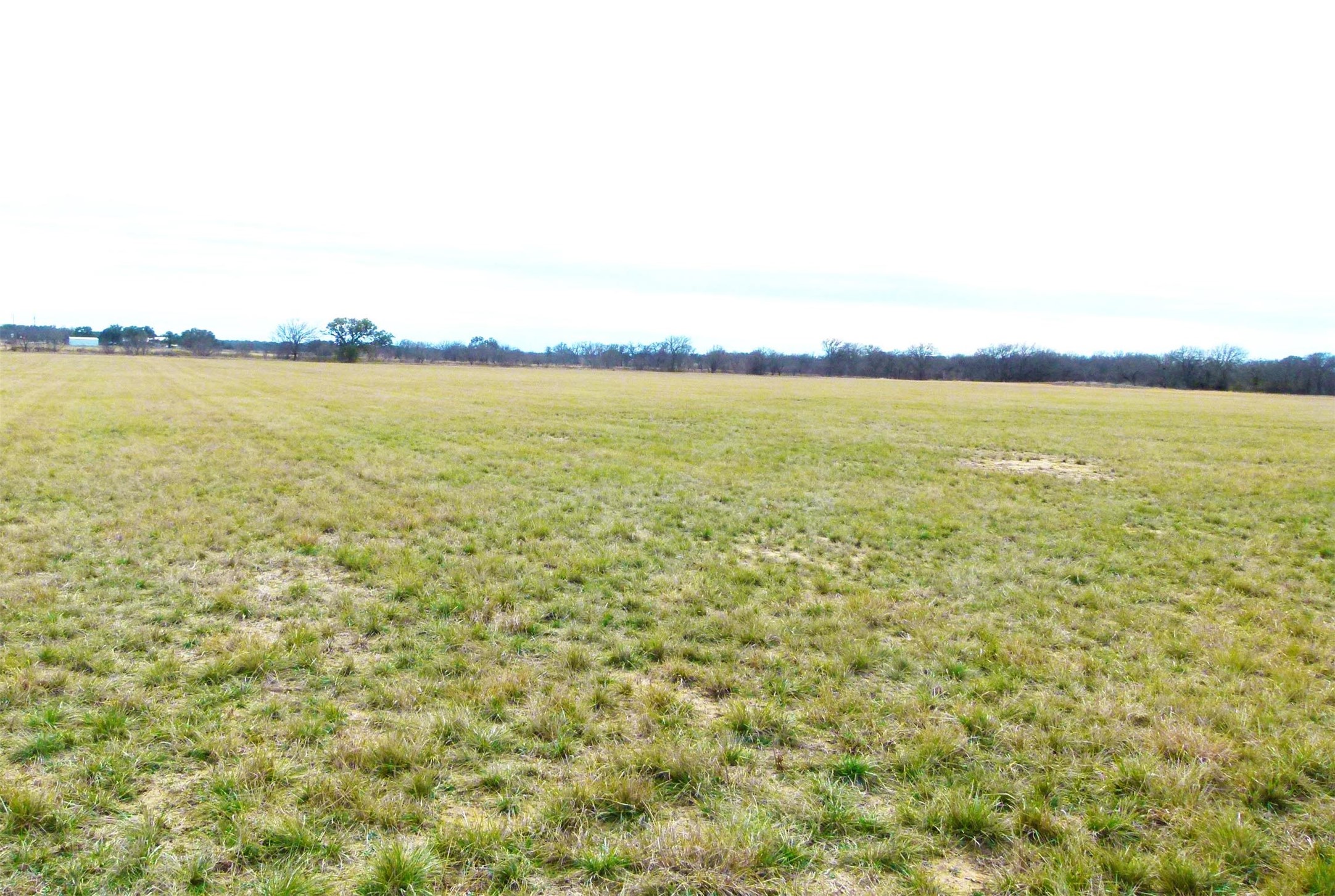 6500A FM 586, Bangs, TX, 76823 | 21152814 | Realty Texas LLC