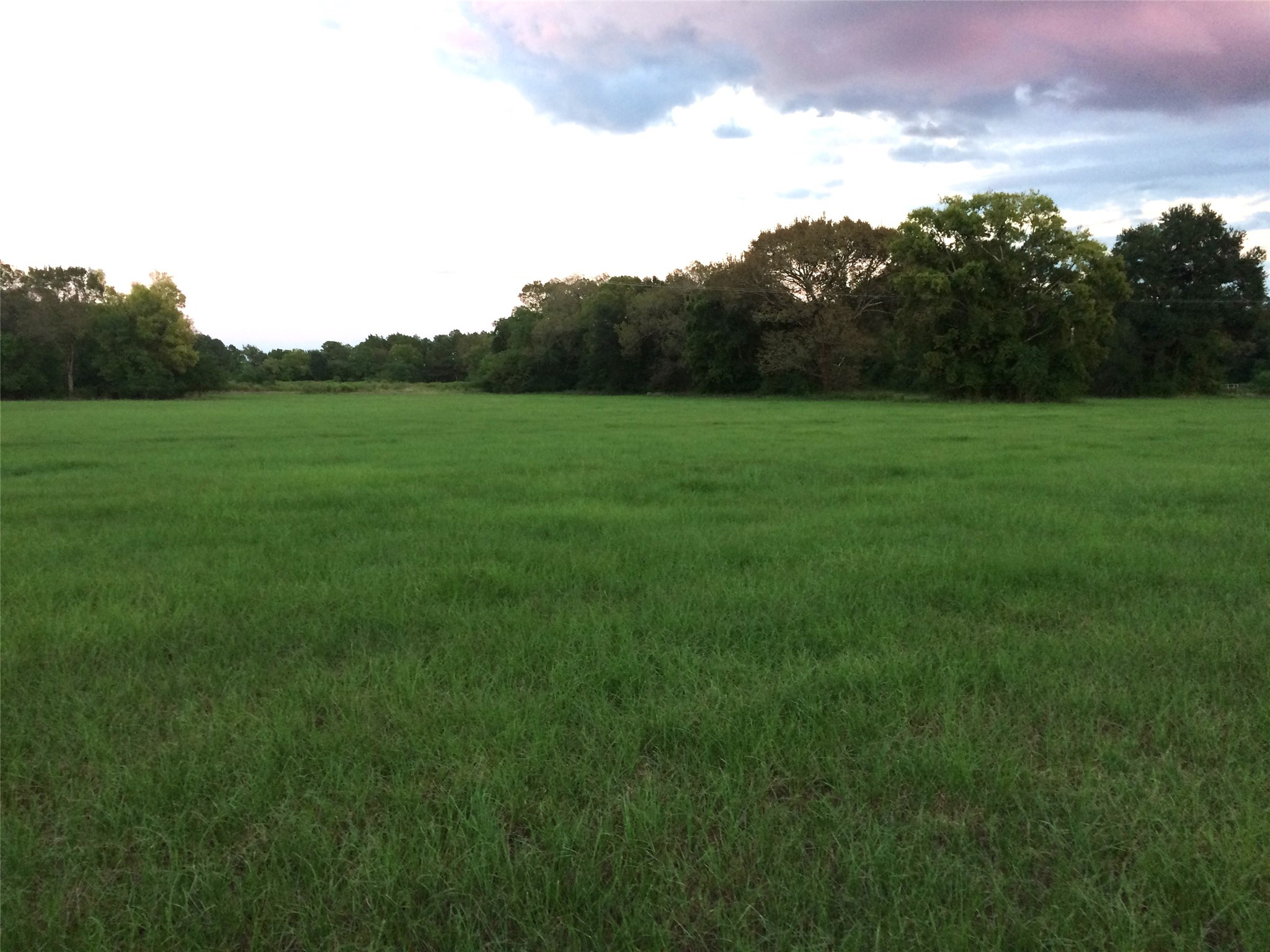 347 E Caroline St, Trinity, TX, 75862 | 46739863 | Realty Texas LLC