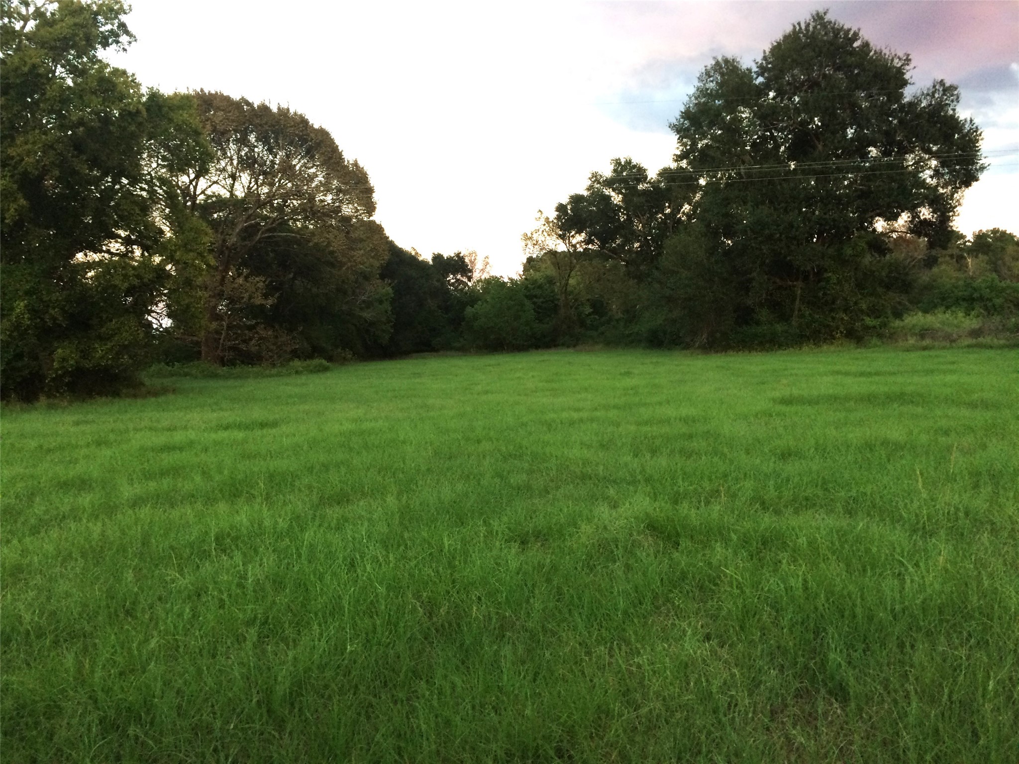 347 E Caroline St, Trinity, TX, 75862 | 46739863 | Realty Texas LLC