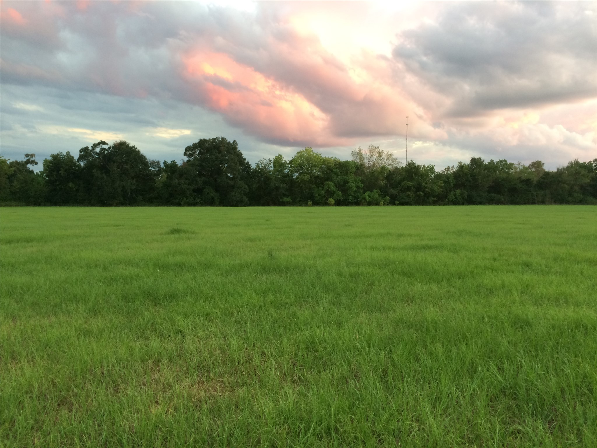 347 E Caroline St, Trinity, TX, 75862 | 46739863 | Realty Texas LLC