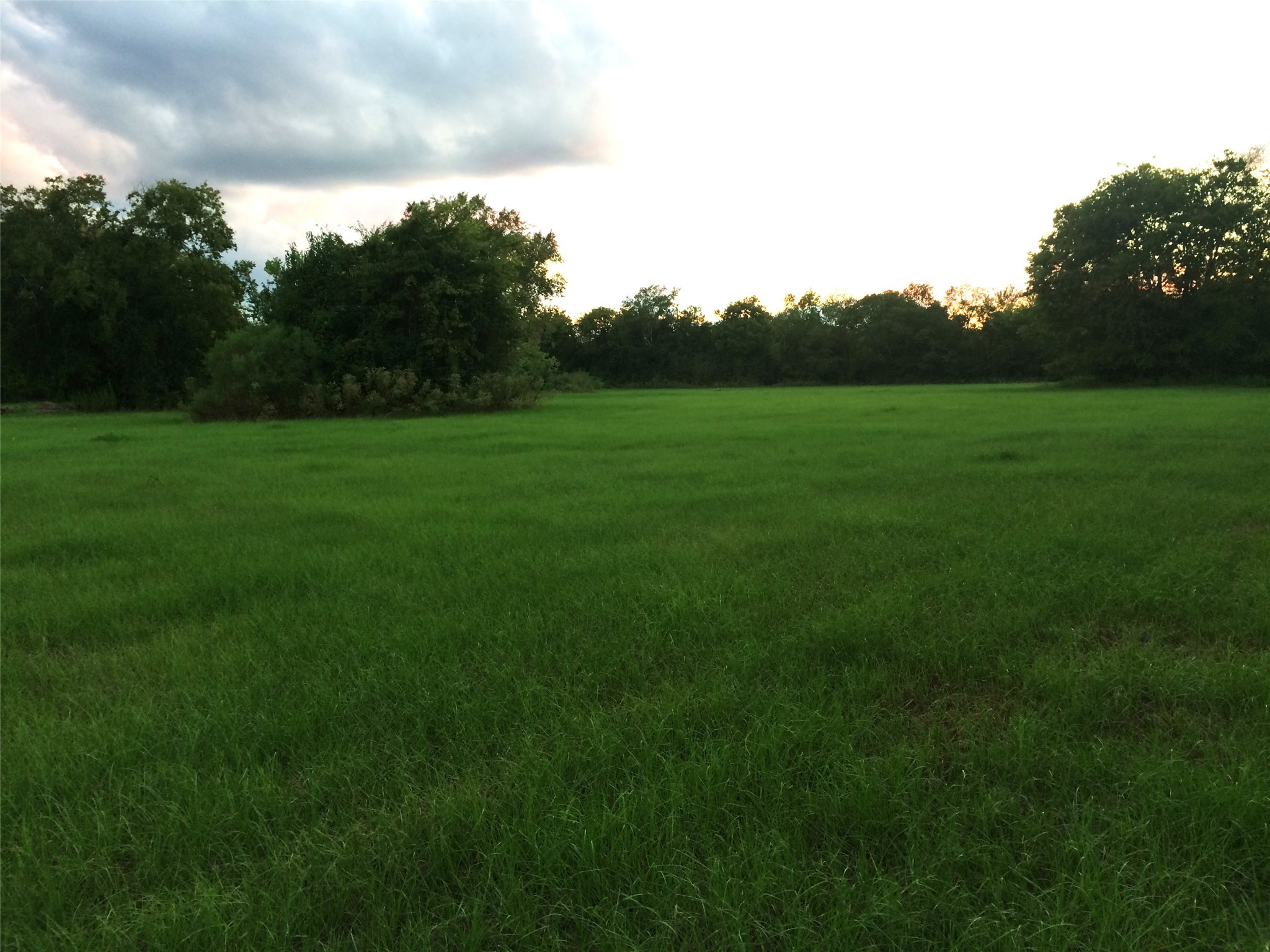 347 E Caroline St, Trinity, TX, 75862 | 46739863 | Realty Texas LLC