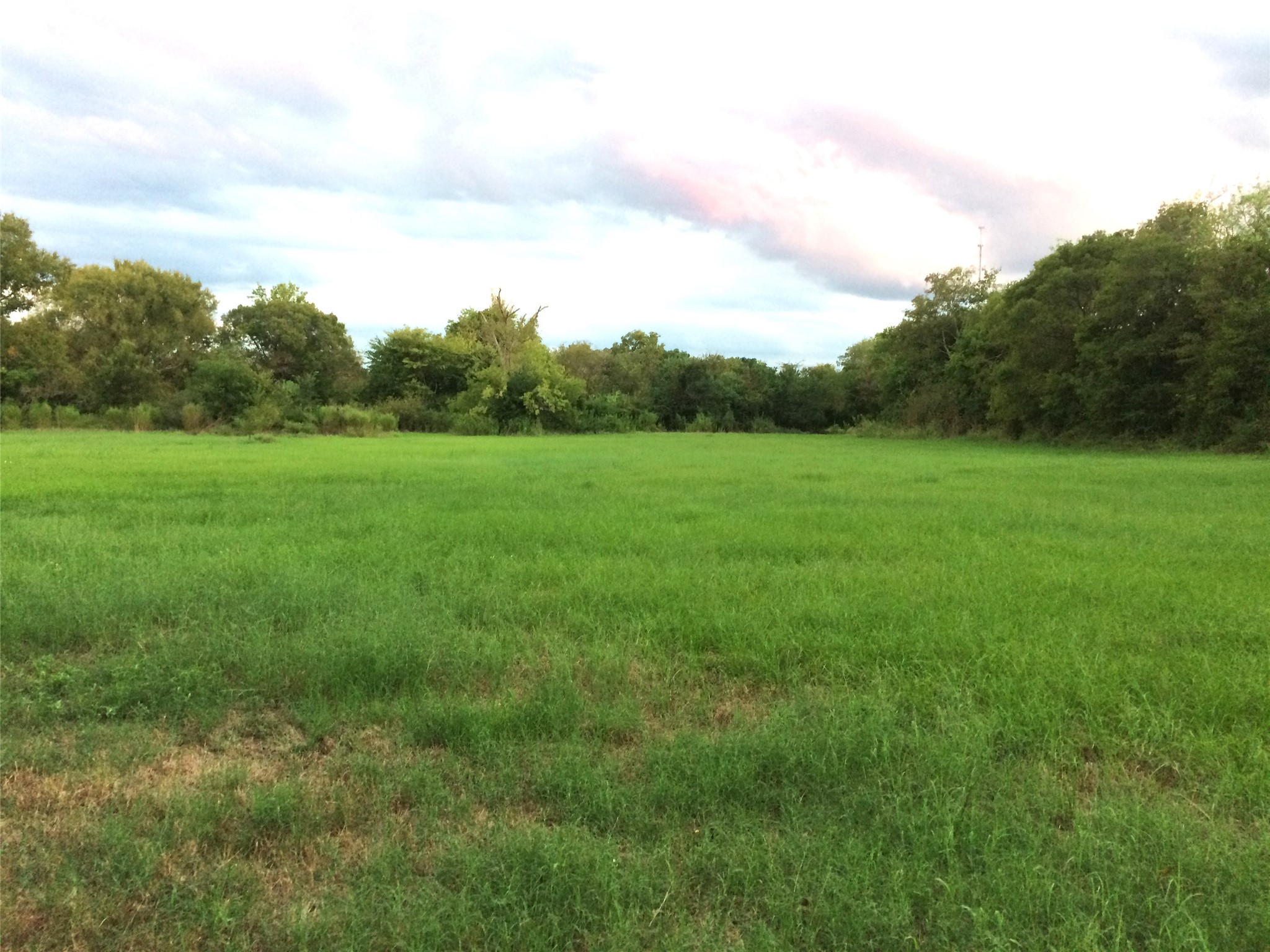 347 E Caroline St, Trinity, TX, 75862 | 46739863 | Realty Texas LLC