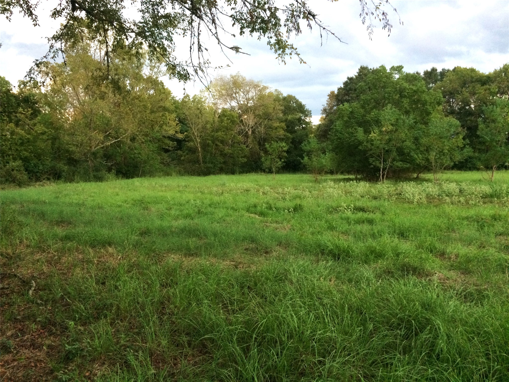 347 E Caroline St, Trinity, TX, 75862 | 46739863 | Realty Texas LLC