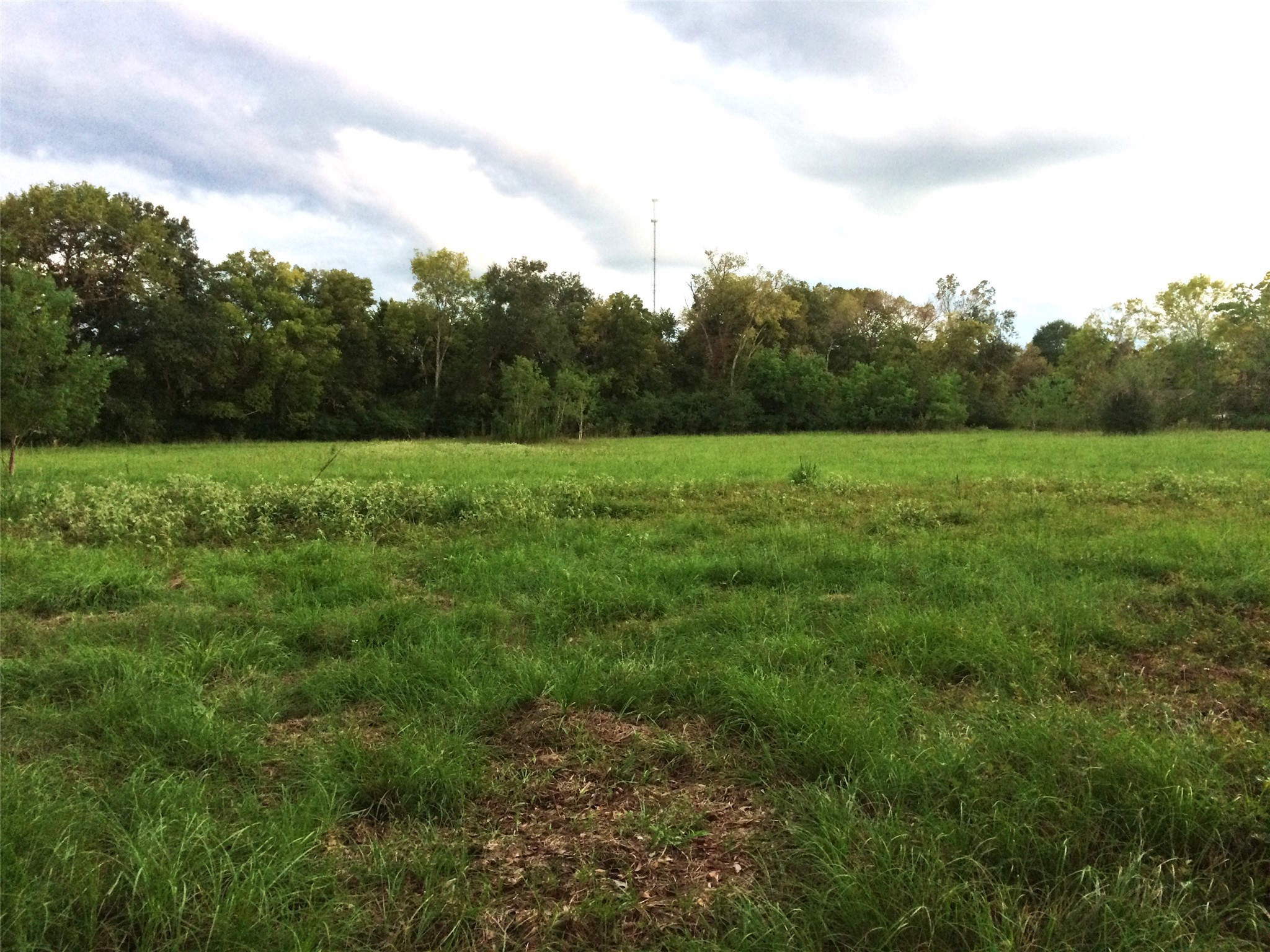 347 E Caroline St, Trinity, TX, 75862 | 46739863 | Realty Texas LLC