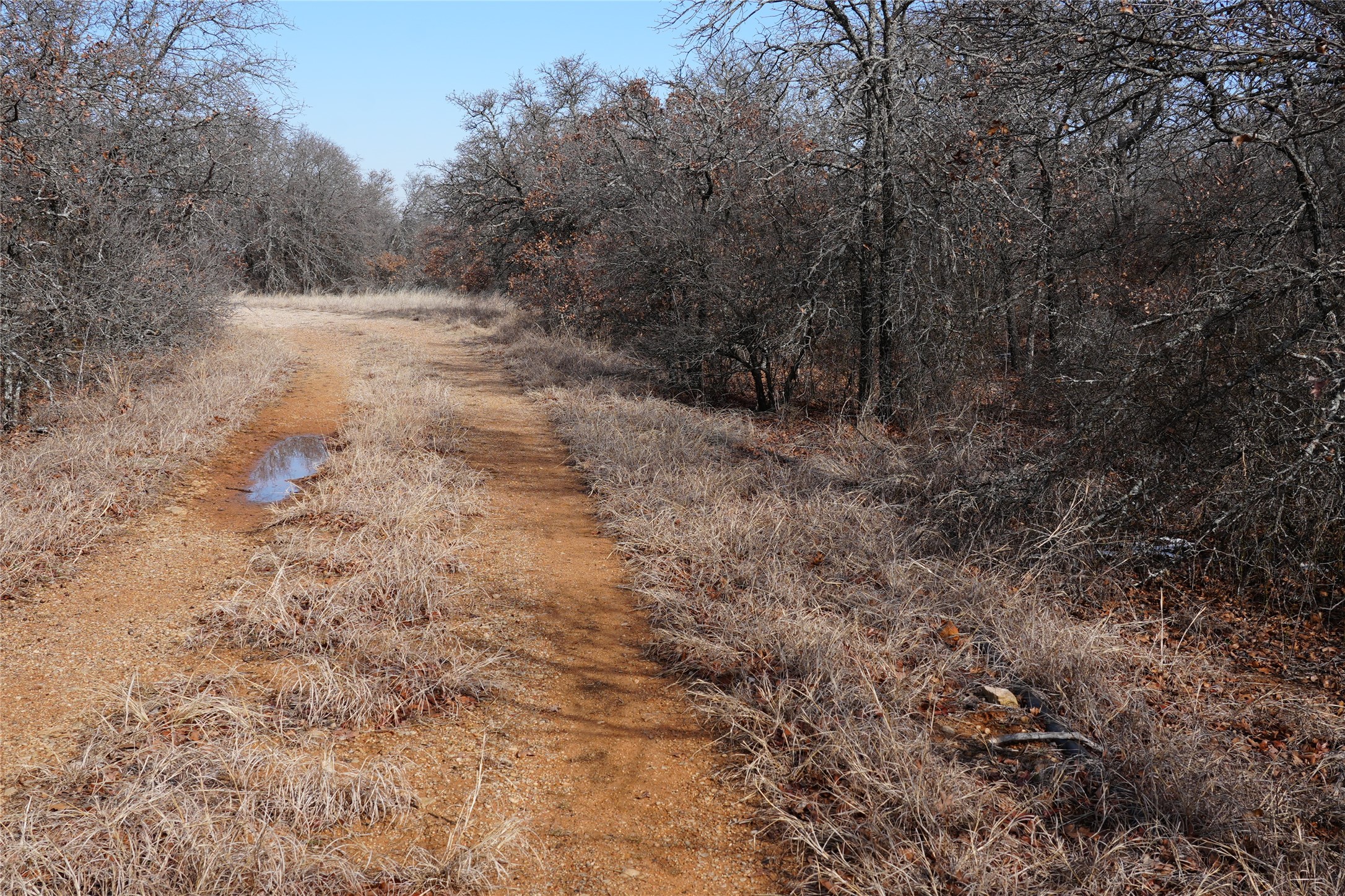 TBD Hwy 206, Cisco, TX, 76437 | 21166531 | Realty Texas LLC