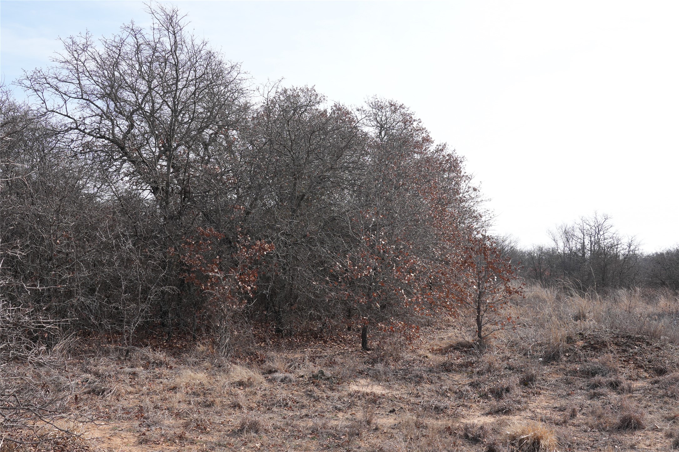 TBD Hwy 206, Cisco, TX, 76437 | 21166531 | Realty Texas LLC