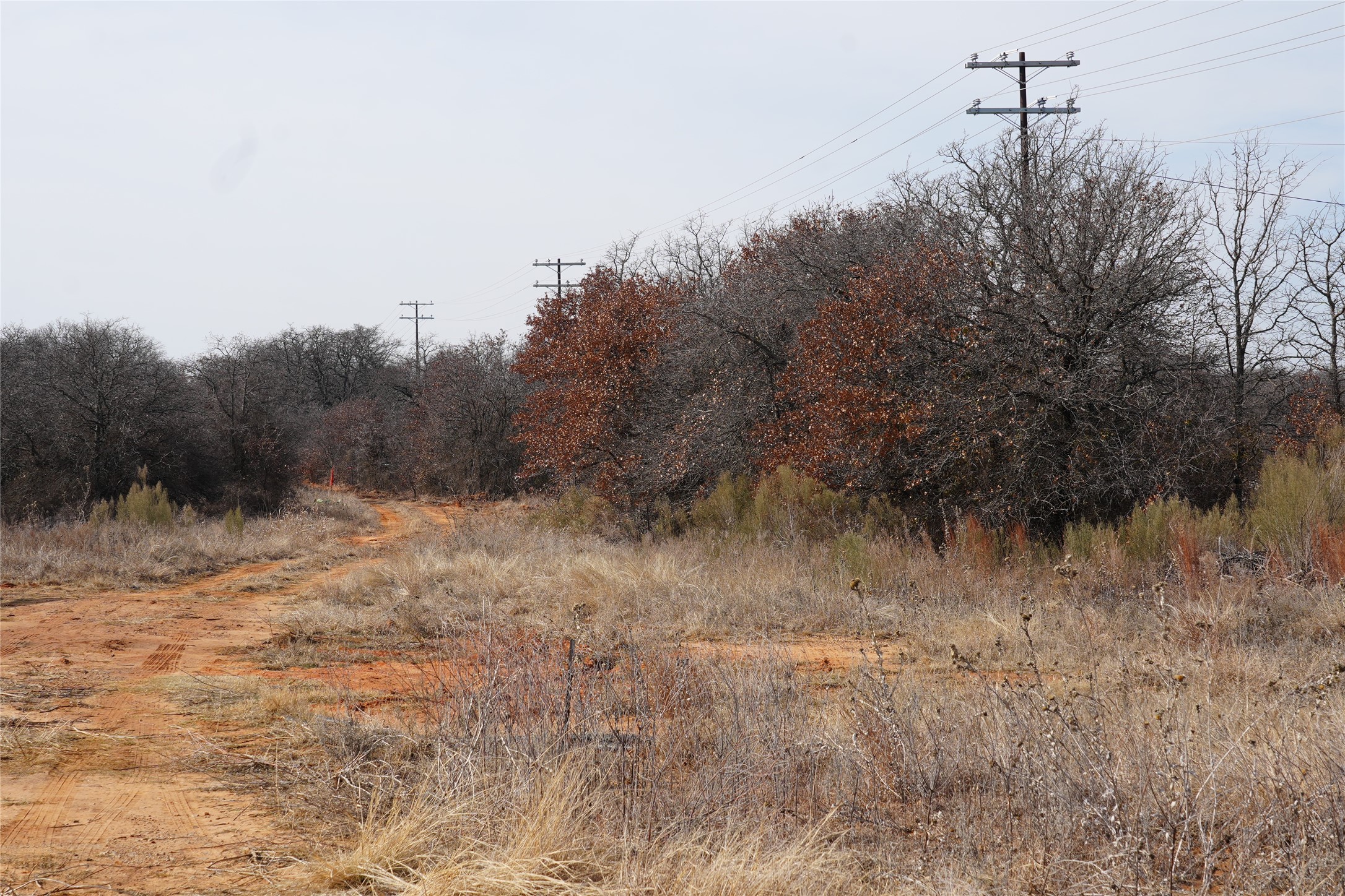 TBD Hwy 206, Cisco, TX, 76437 | 21166531 | Realty Texas LLC