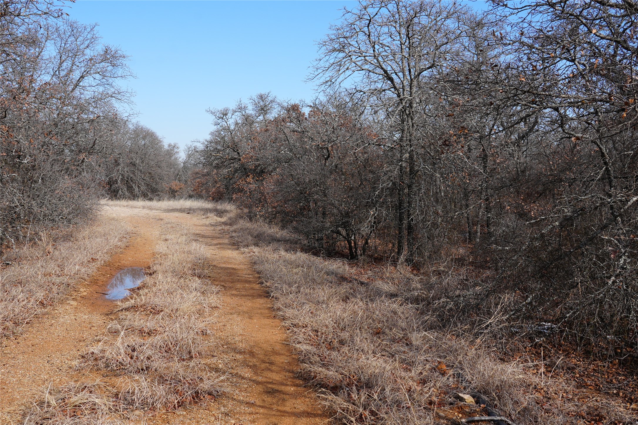 TBD Hwy 206, Cisco, TX, 76437 | 21166531 | Realty Texas LLC