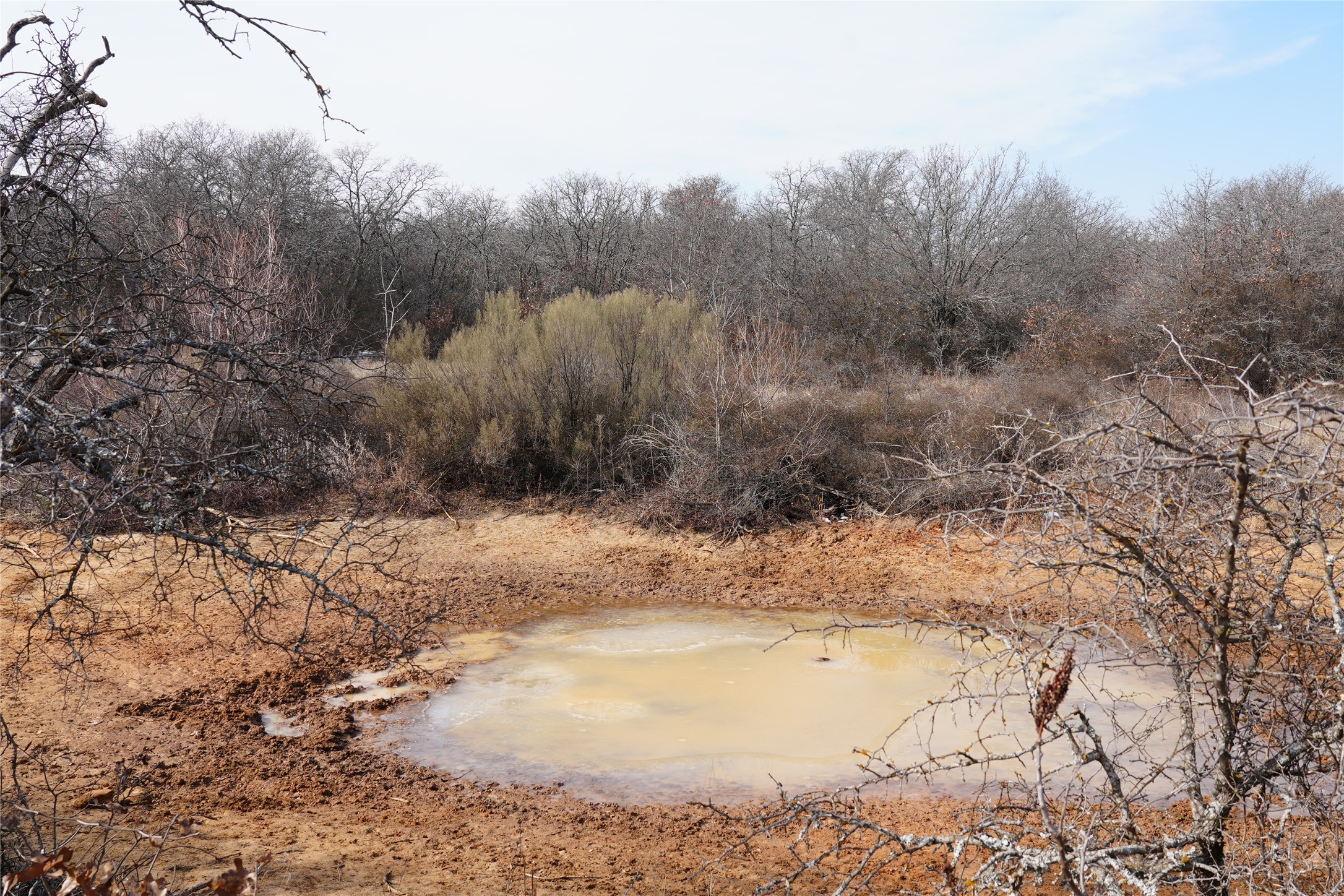 TBD Hwy 206, Cisco, TX, 76437 | 21166531 | Realty Texas LLC