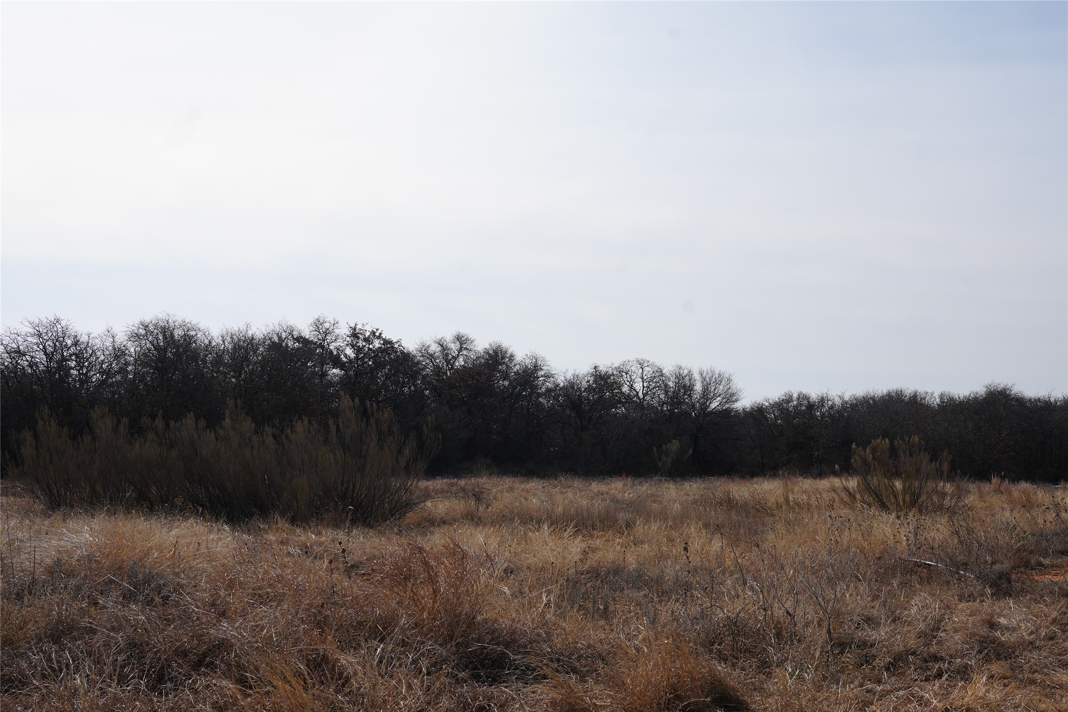 TBD Hwy 206, Cisco, TX, 76437 | 21166531 | Realty Texas LLC