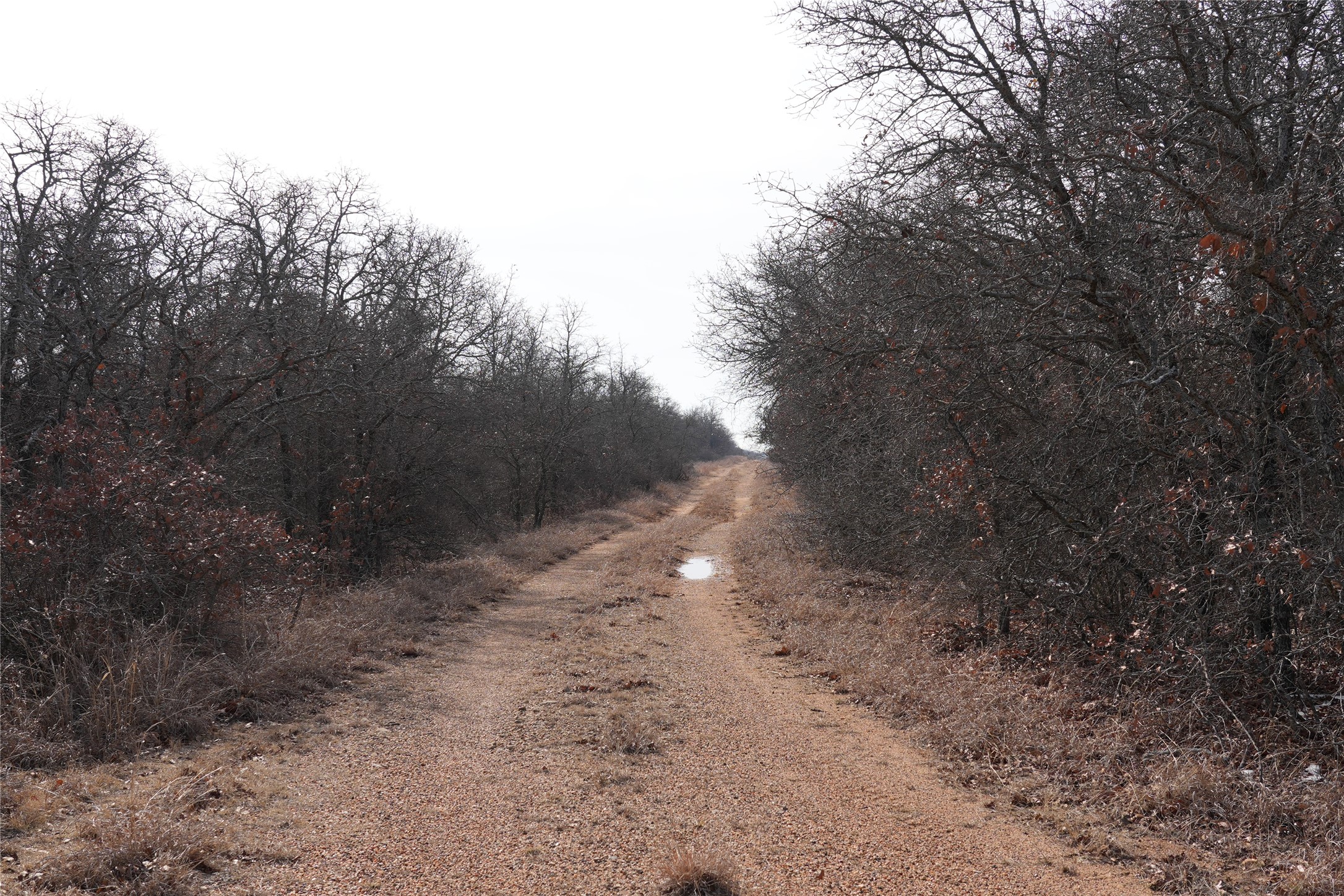 TBD Hwy 206, Cisco, TX, 76437 | 21166531 | Realty Texas LLC