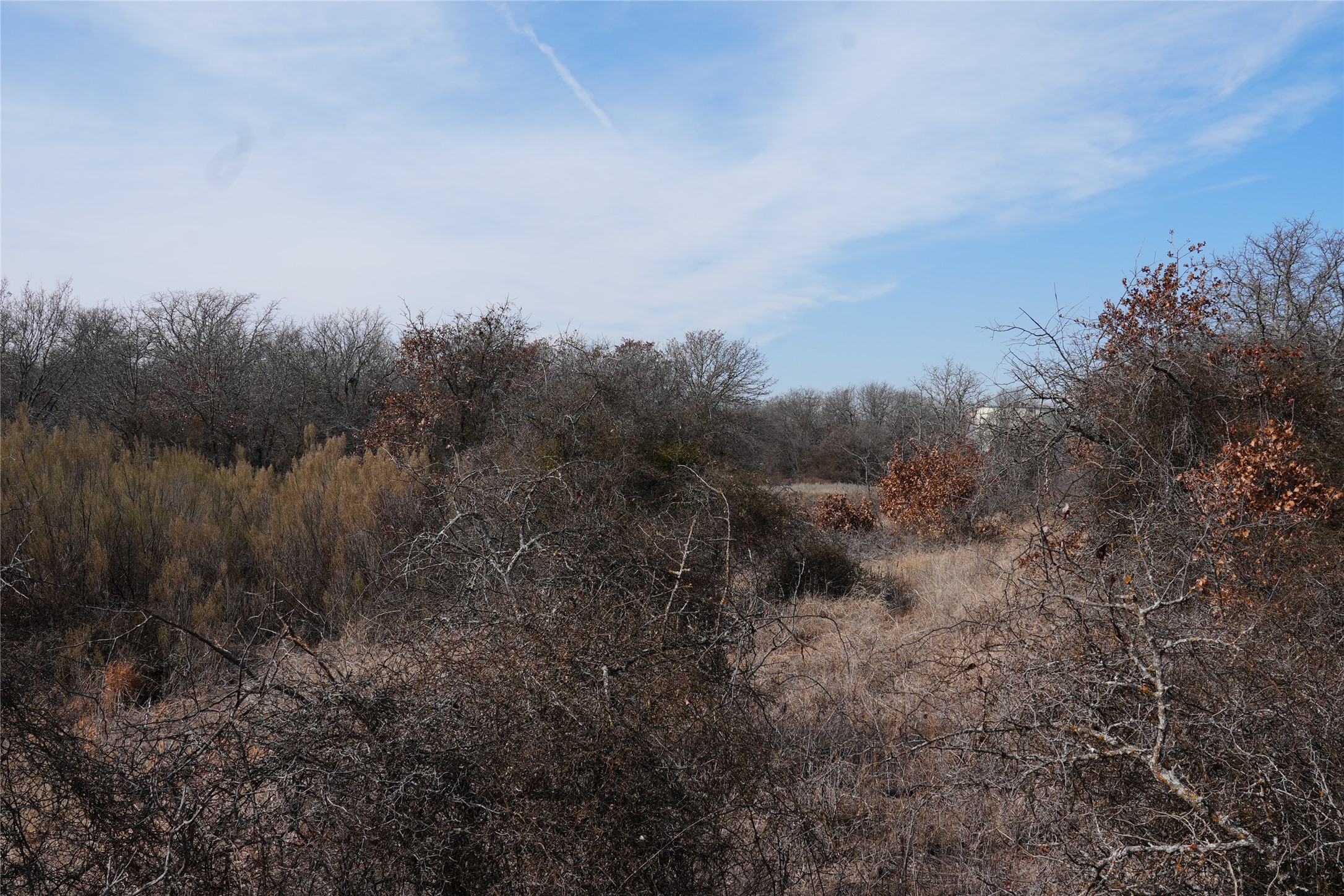 TBD Hwy 206, Cisco, TX, 76437 | 21166531 | Realty Texas LLC