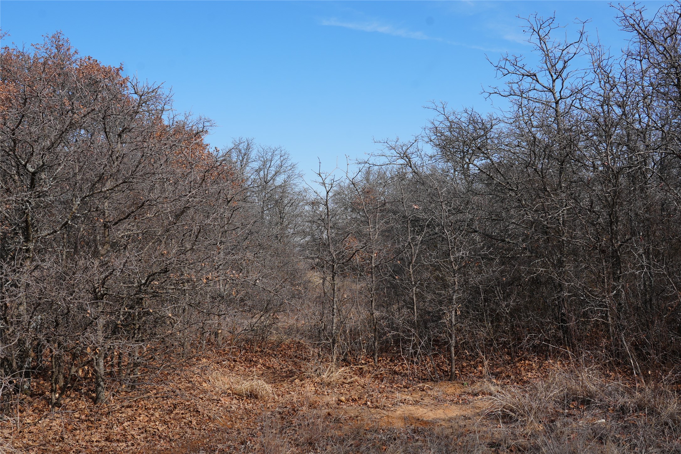 TBD Hwy 206, Cisco, TX, 76437 | 21166531 | Realty Texas LLC