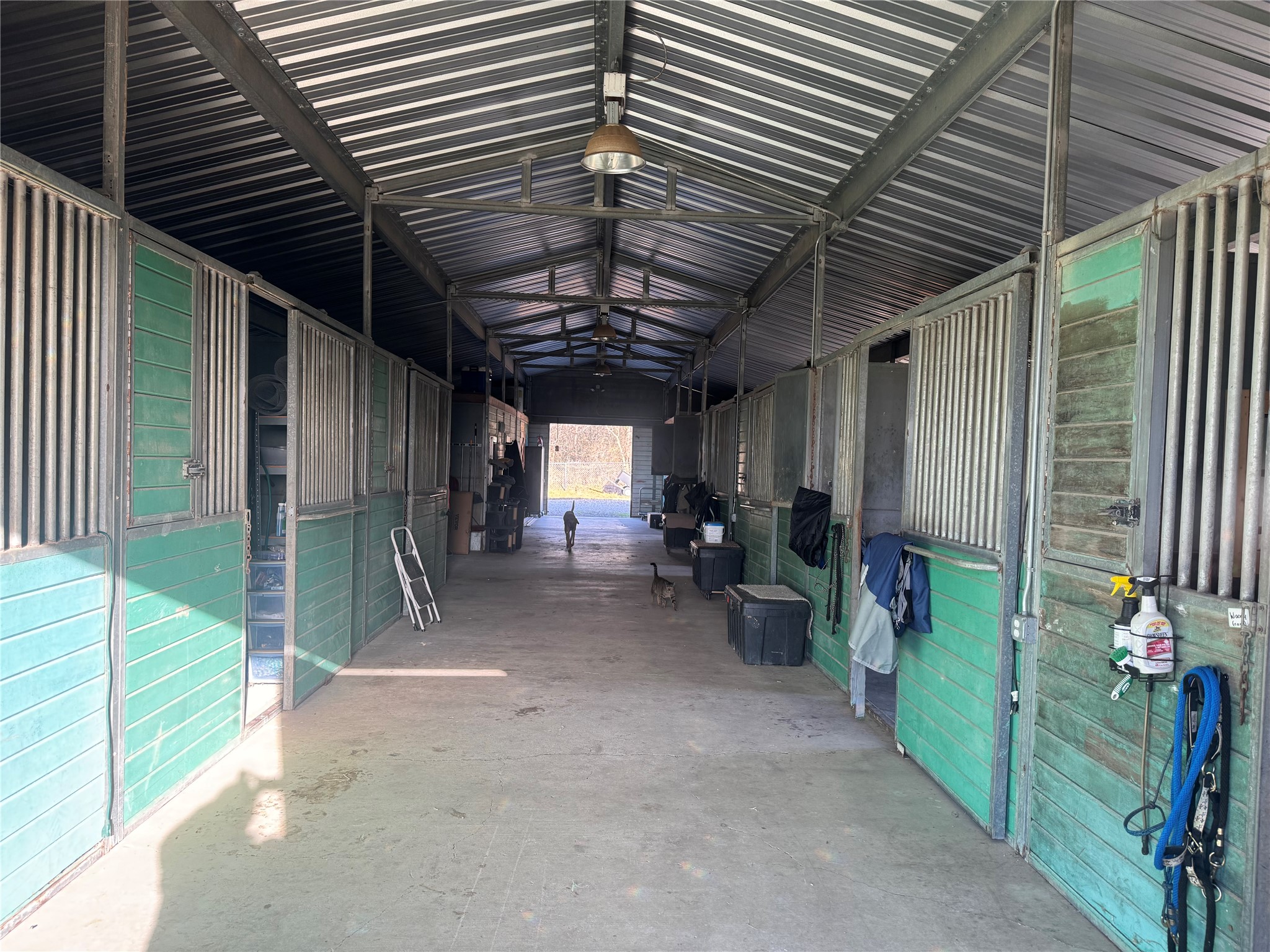 226 HCR 3321, Hubbard, TX, 76648 | 3688952 | Realty Texas LLC