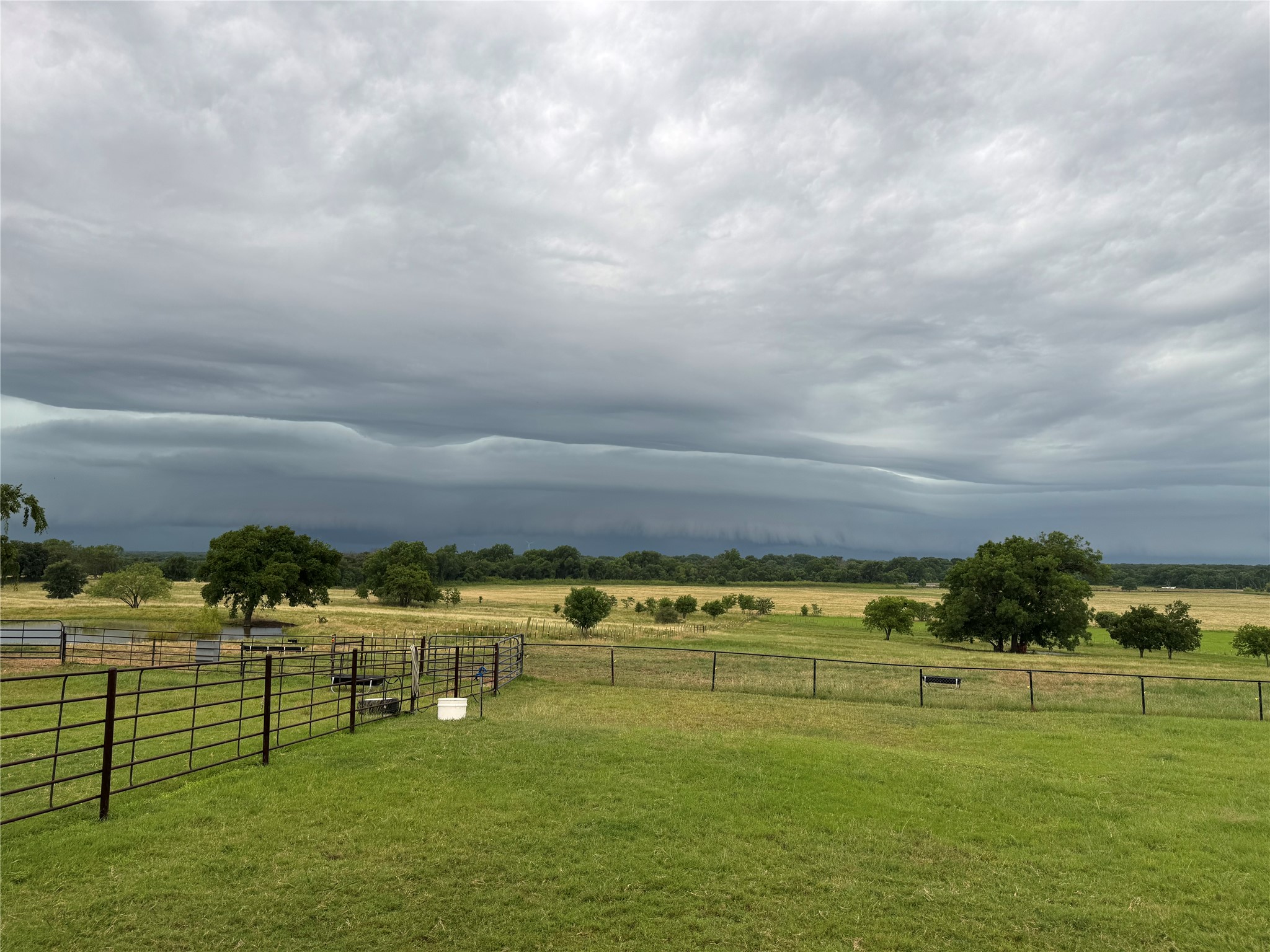 226 HCR 3321, Hubbard, TX, 76648 | 3688952 | Realty Texas LLC