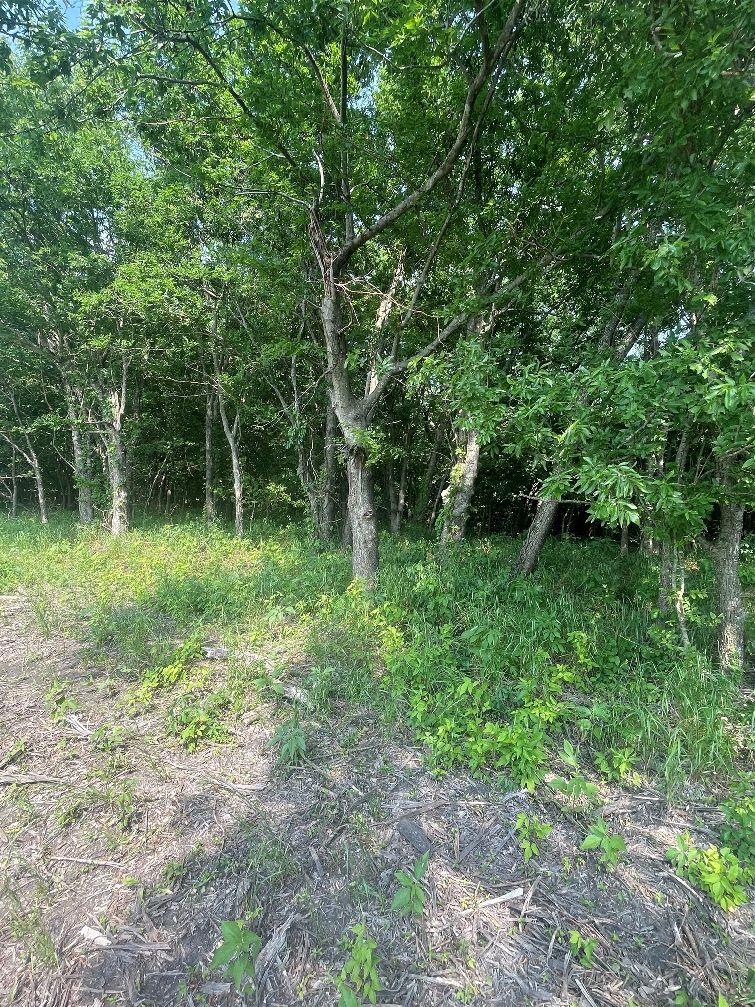 TBD County Line, Commerce, TX, 75428 | 21166705 | Realty Texas LLC