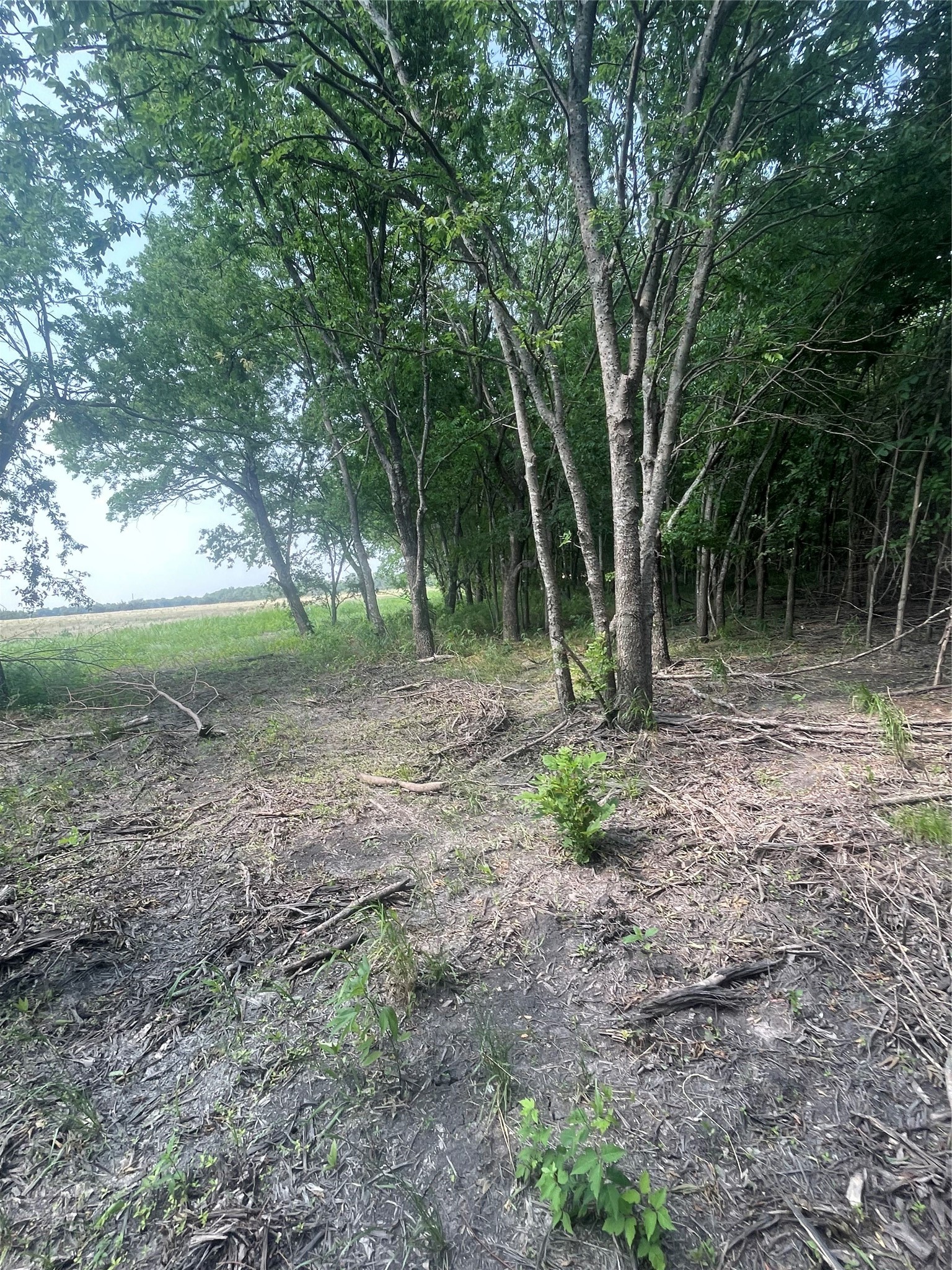 TBD County Line, Commerce, TX, 75428 | 21166705 | Realty Texas LLC