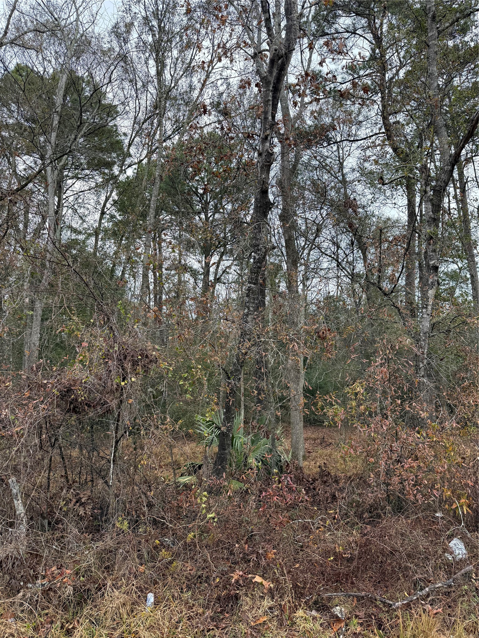TBD River E, Splendora, TX, 77372 | 58241971 | Realty Texas LLC