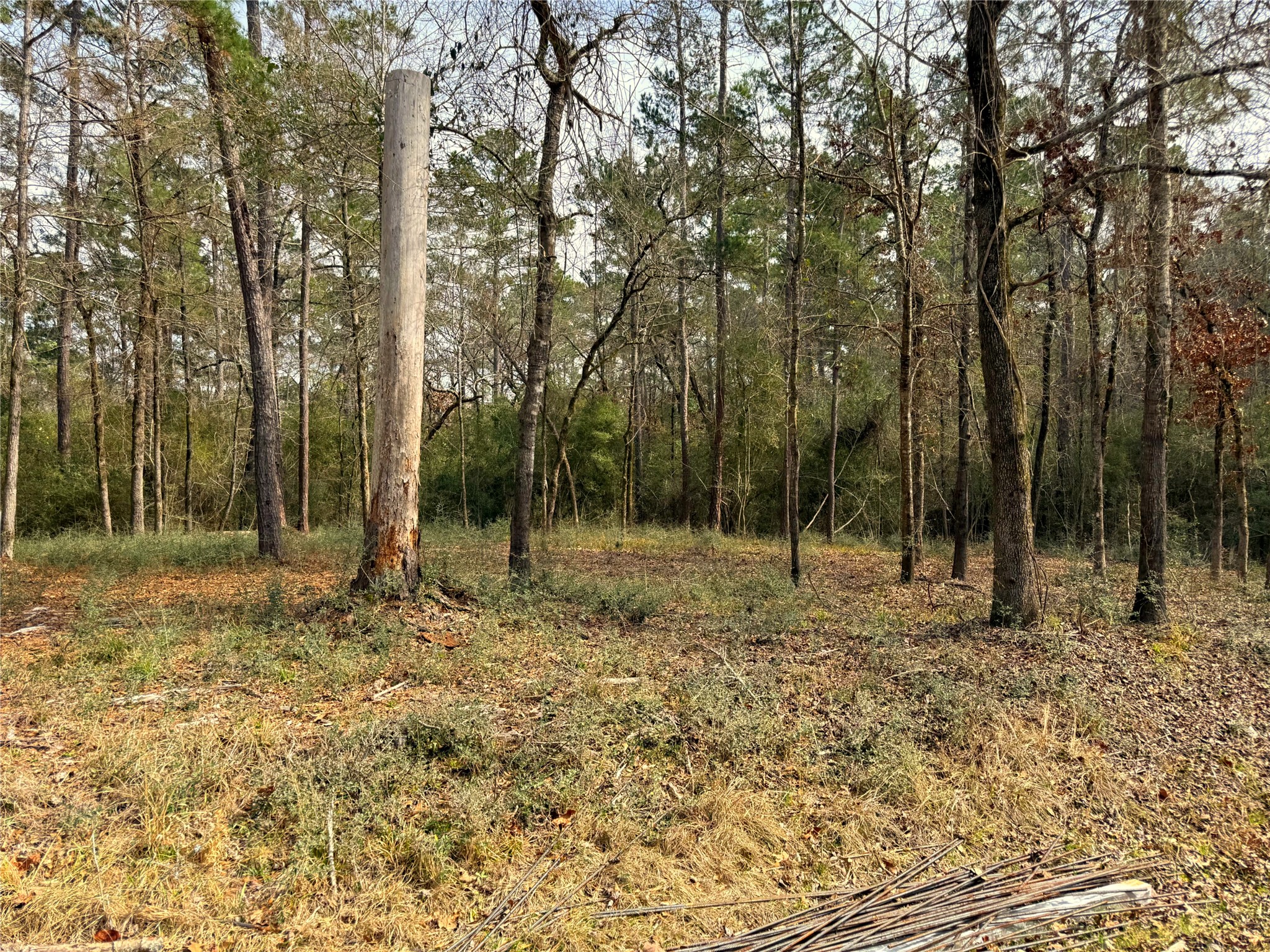 195 Walnut Circle, Trinity, TX, 75862 | 44628552 | Realty Texas LLC