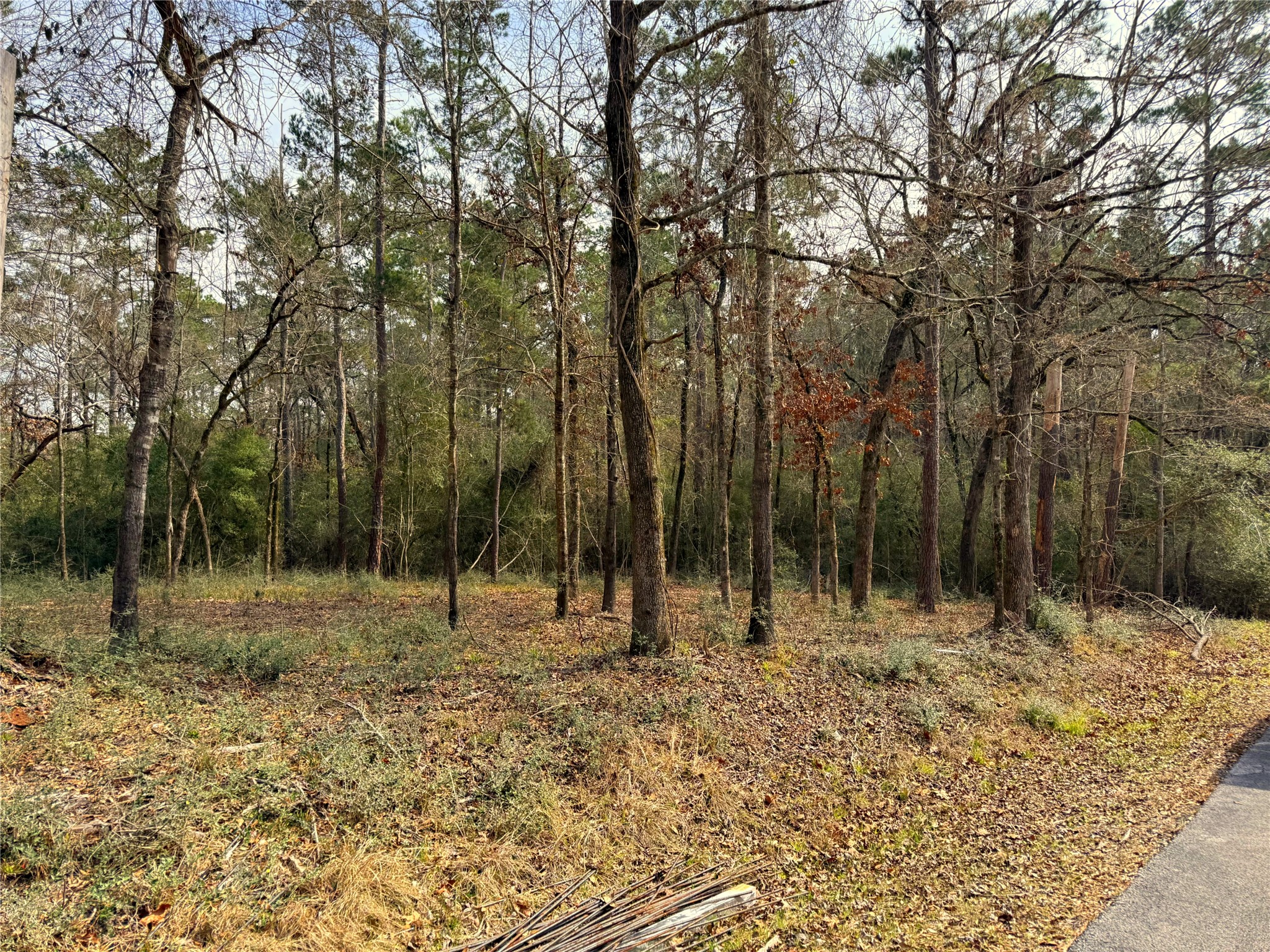 195 Walnut Circle, Trinity, TX, 75862 | 44628552 | Realty Texas LLC